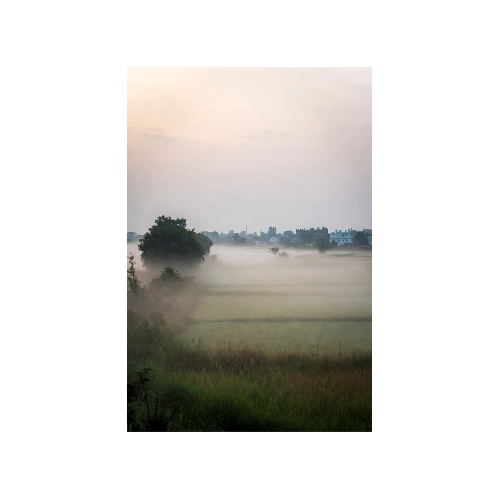 ਧੁੰਦ ਵਾਲੀ ਸਵੇਰ: ਇੱਕ ਪੰਜਾਬੀ ਸਲੀਪ ਸਟੋਰੀ (Sleep Story) 😴 ਪਿੰਡਾਂ ਦੀ ਸ਼ਾਂਤੀ ਅਤੇ ਗੂੜ੍ਹੀ ਨੀਂਦ