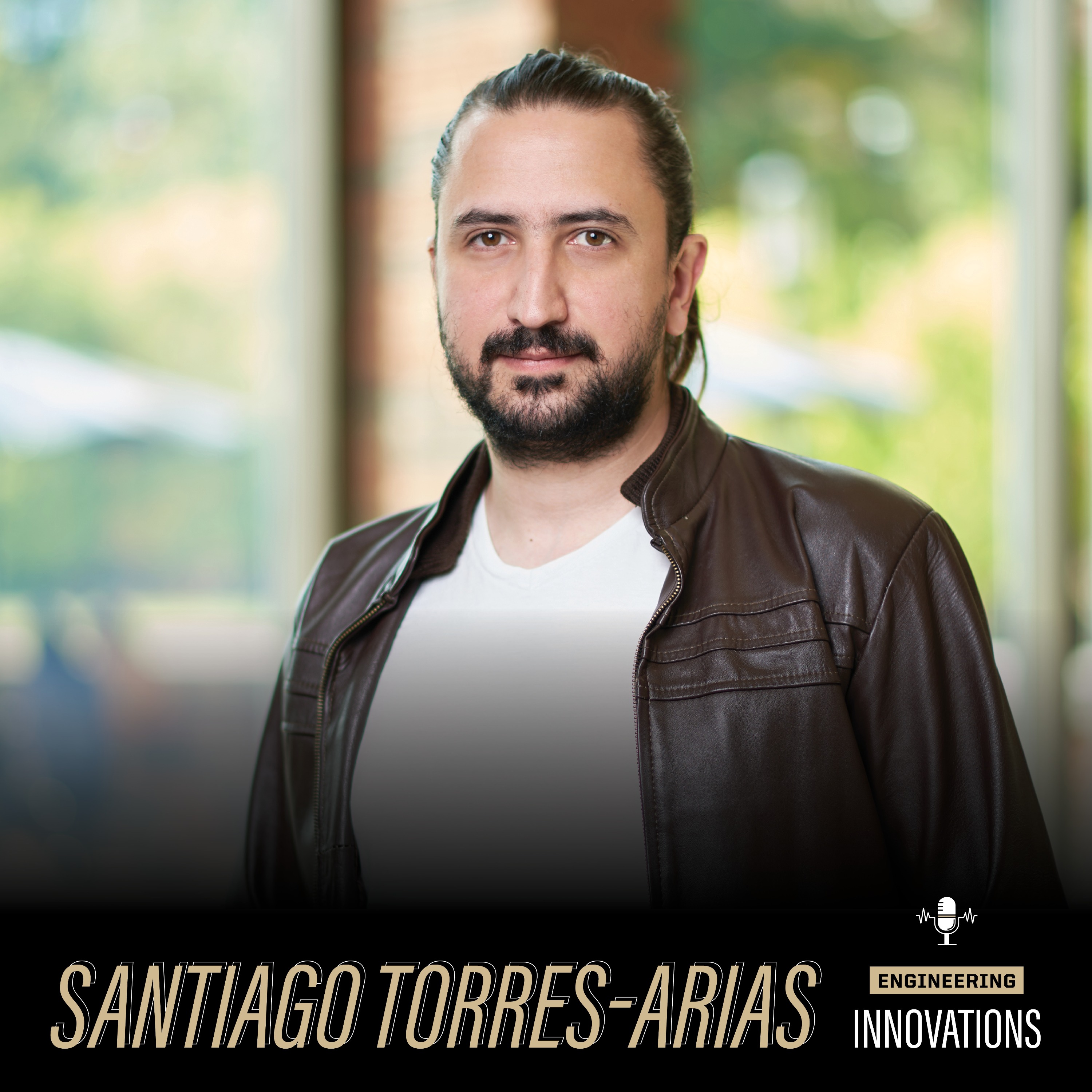 Unveiling the Complex Web of Software Security