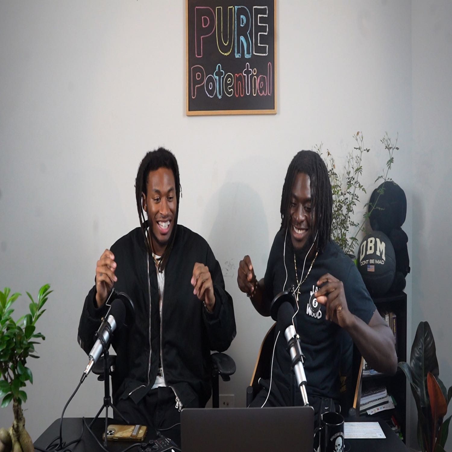 Pure Potential the Podcast