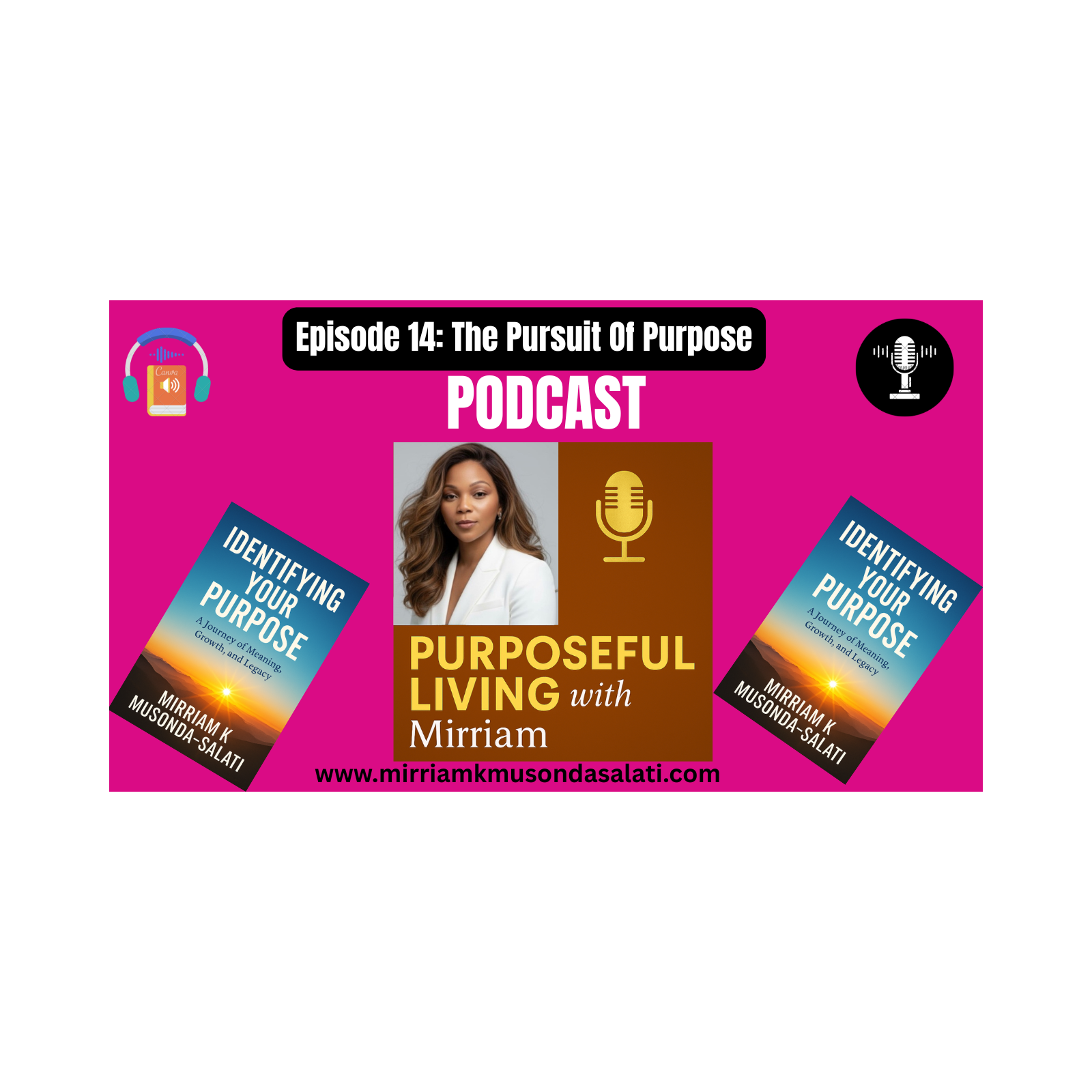 Episode 14: The Pursuit Of Purpose episode artwork