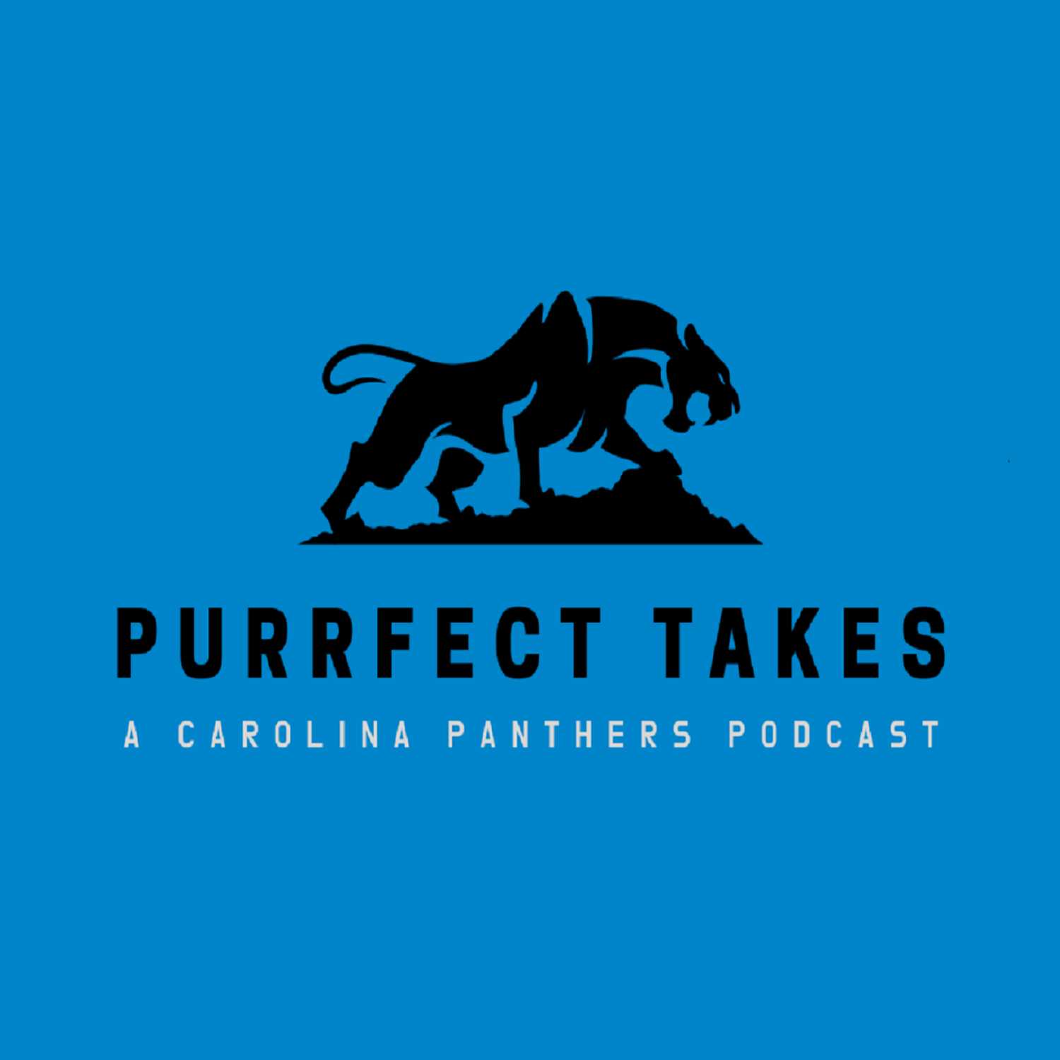 Purrfect Takes