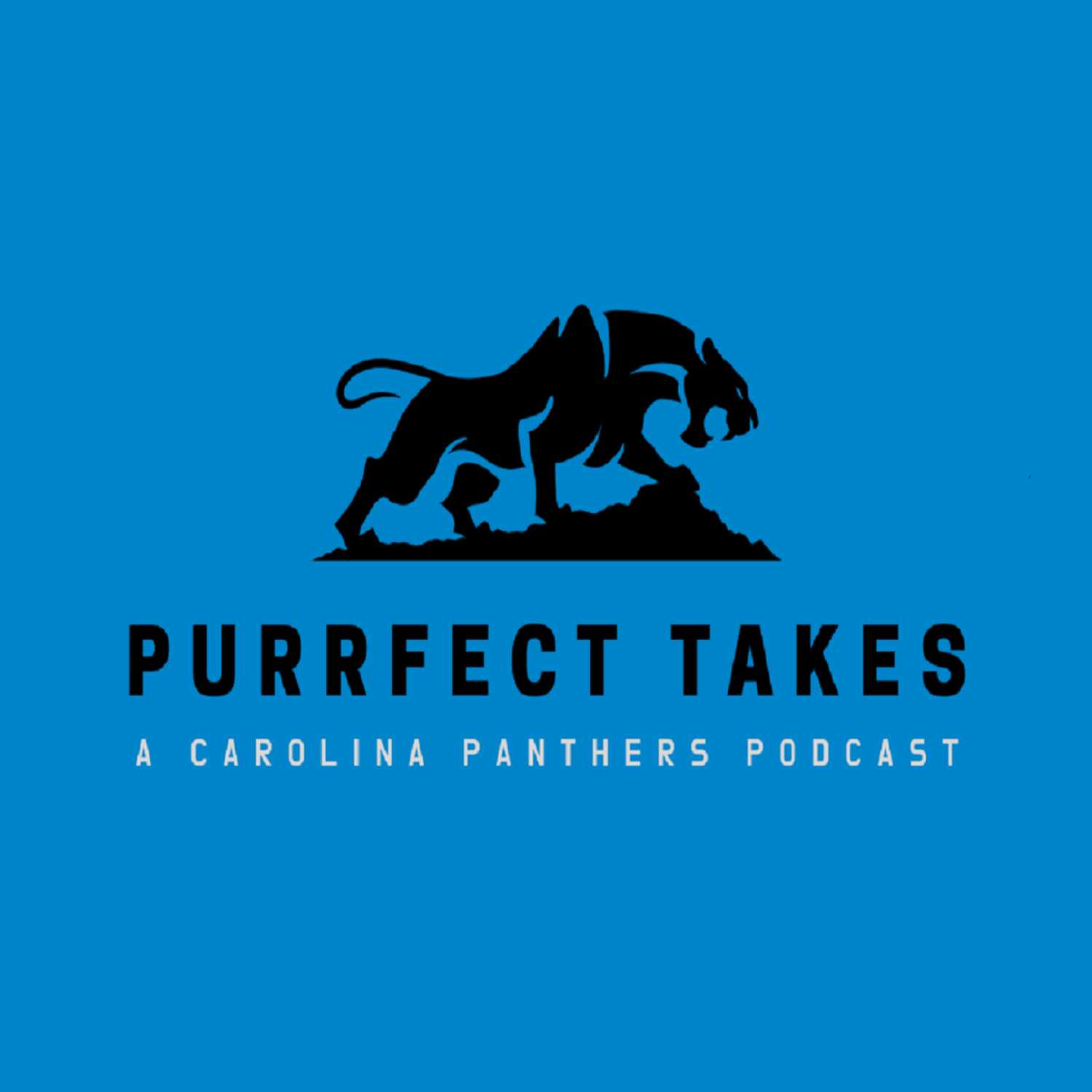 Purrfect Takes