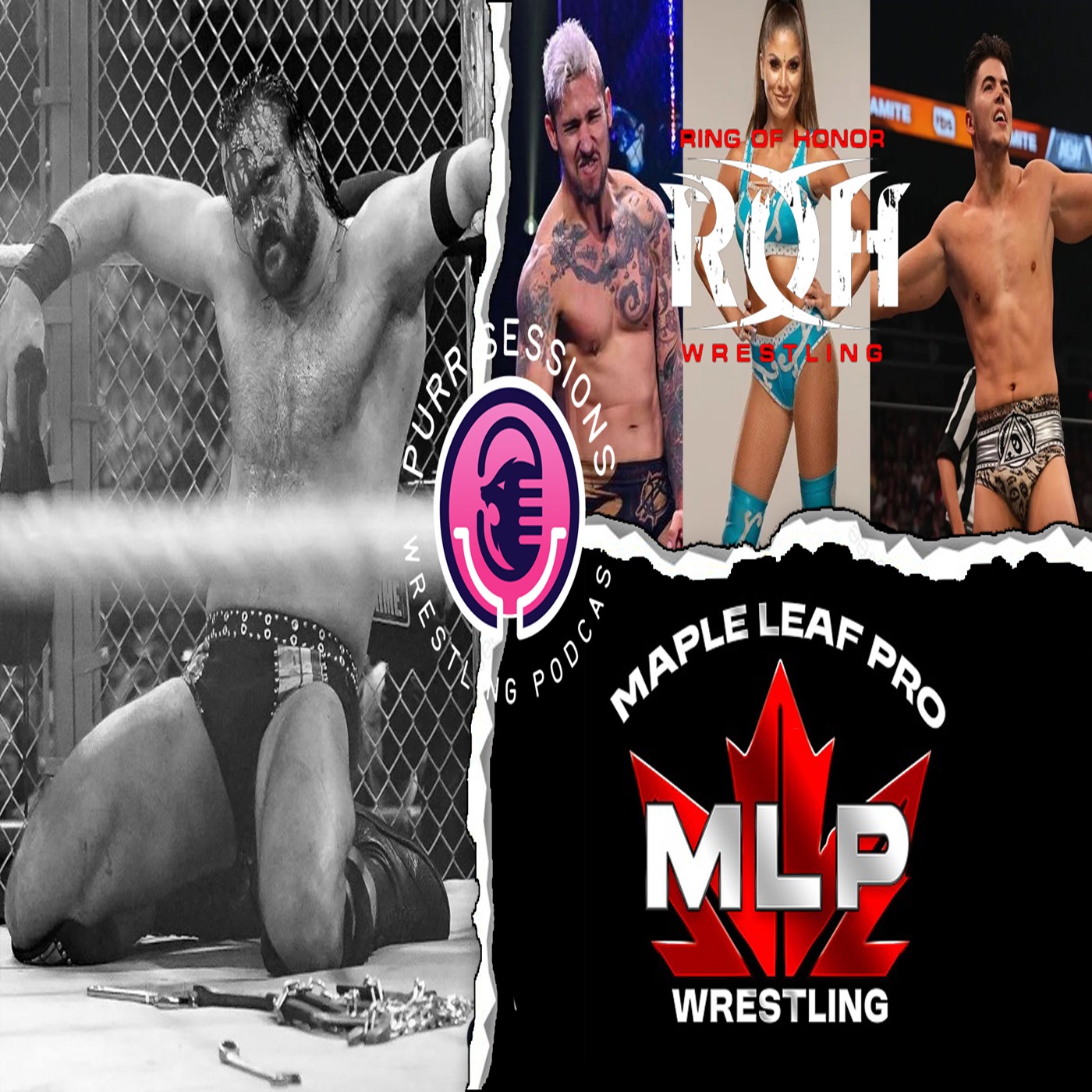 Purr Sessions Wrestling Podcast