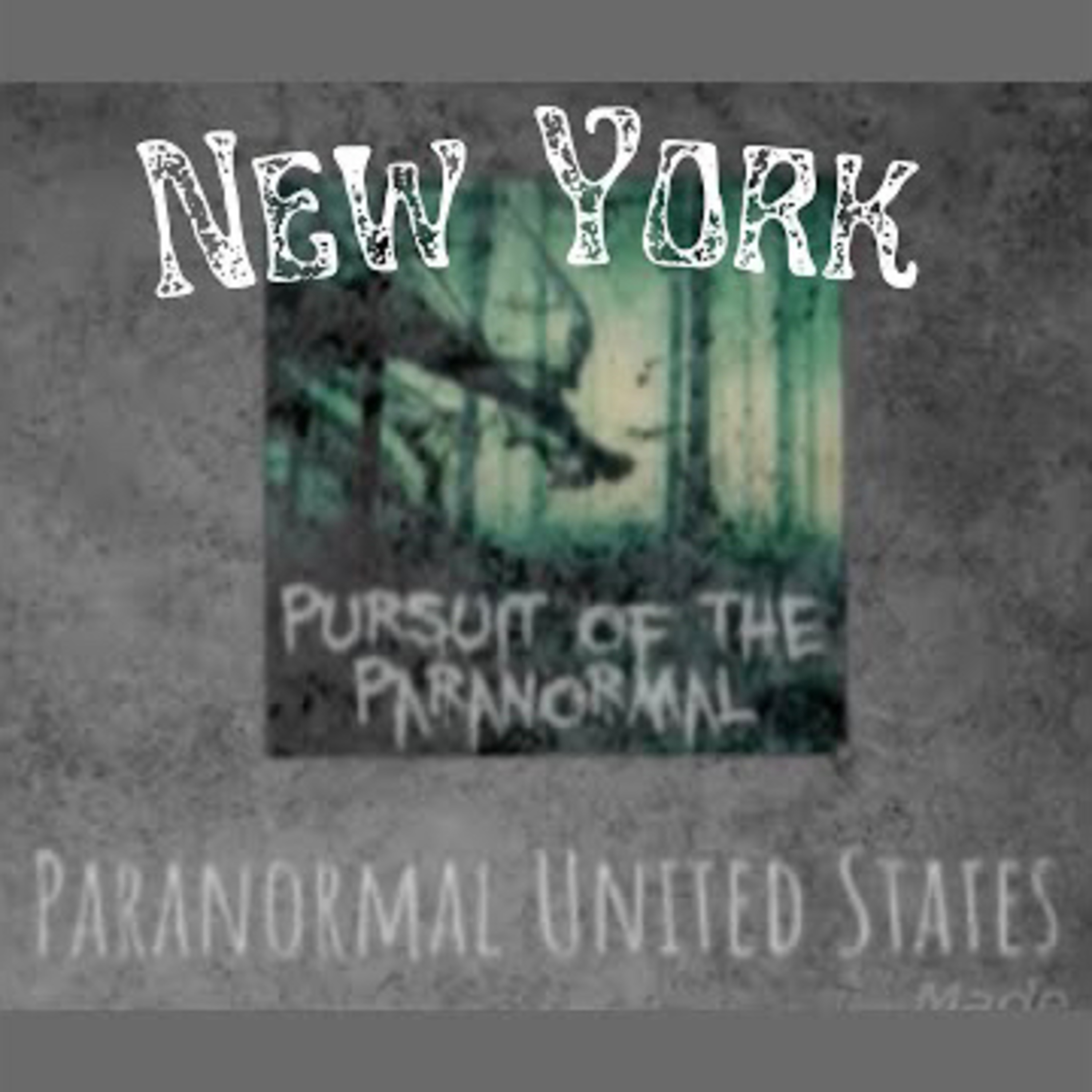 Paranormal United States Ep 32: New York - The House of Death and the 22 spirits episode artwork