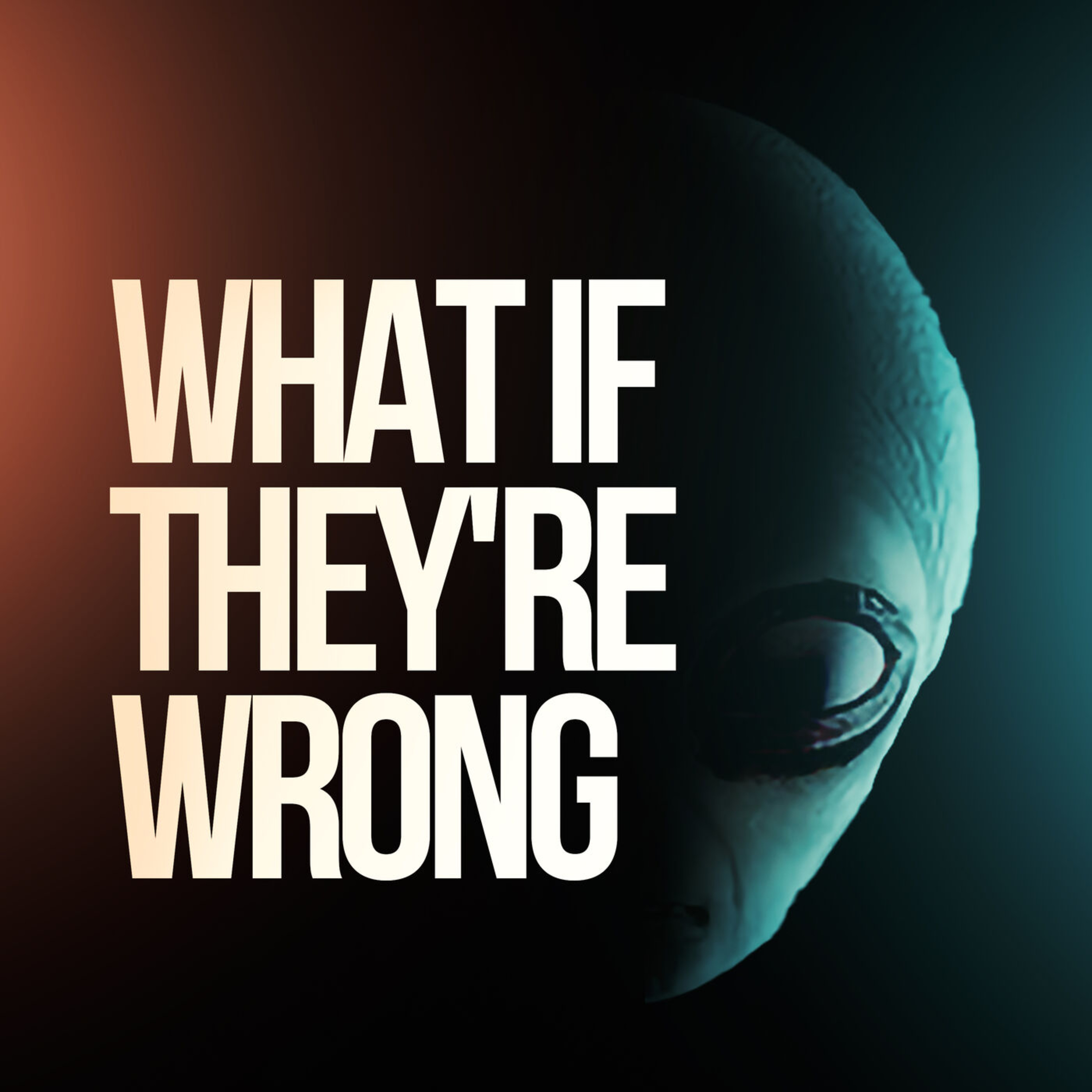 BONUS EPISODE - Our Appearance on the What If They're Wrong Podcast talking UFOs, aliens and life itself! episode artwork