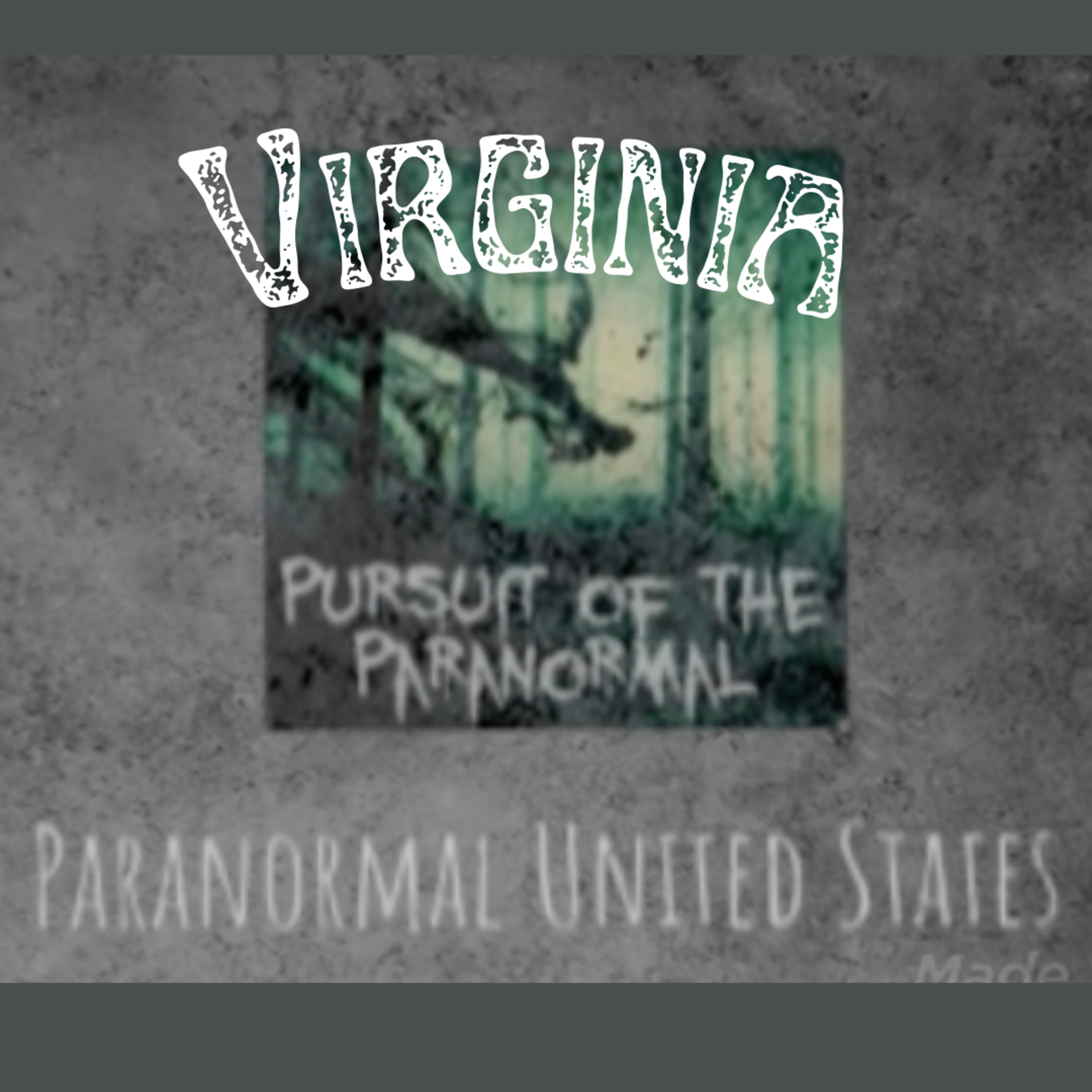 Paranormal United States Ep 46 - Virginia - The Study of Past Lives at the University of Virginia School of Medicine episode artwork