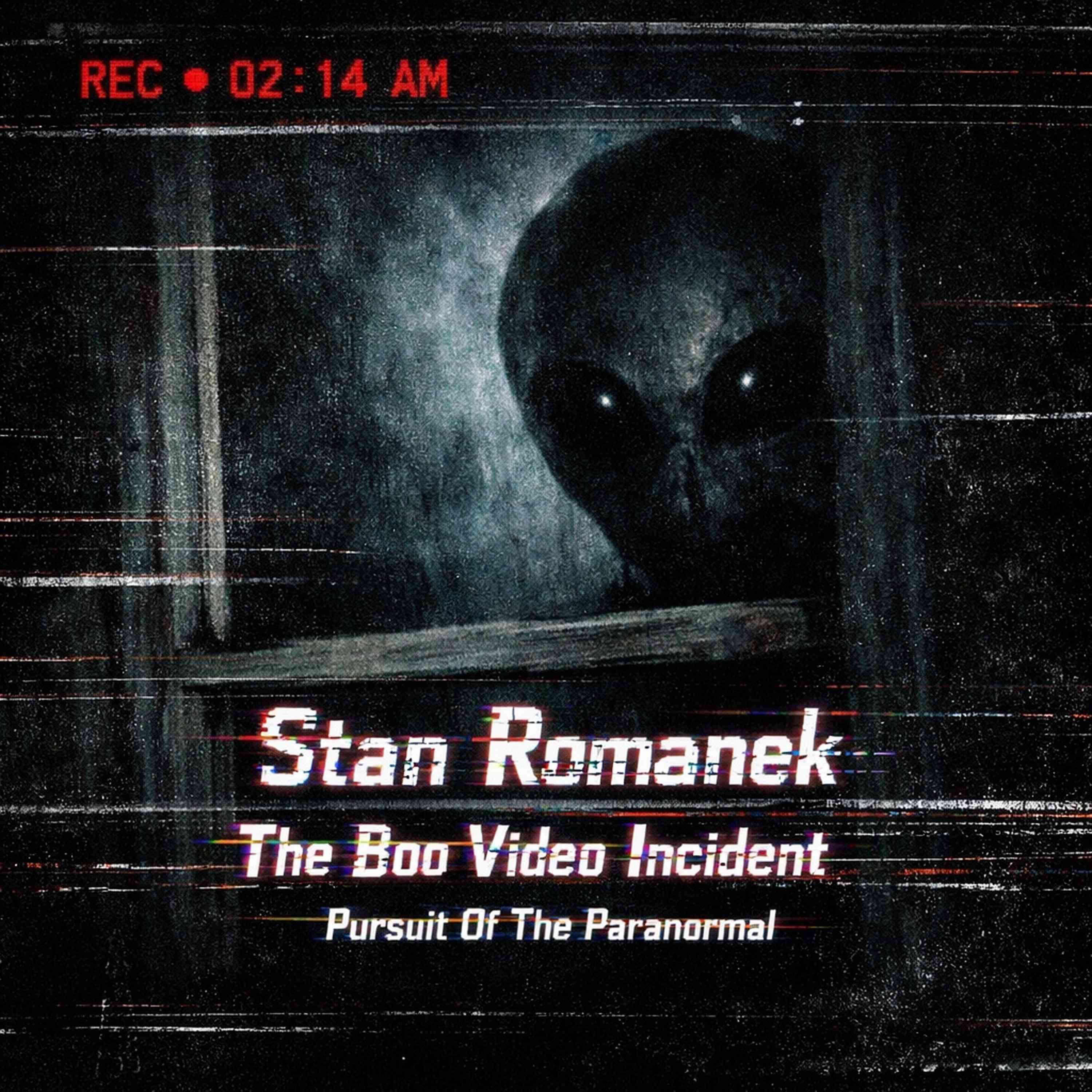 Stan Romanek Explained: Boo Video, Abductions, Evidence, and the Full Story episode artwork