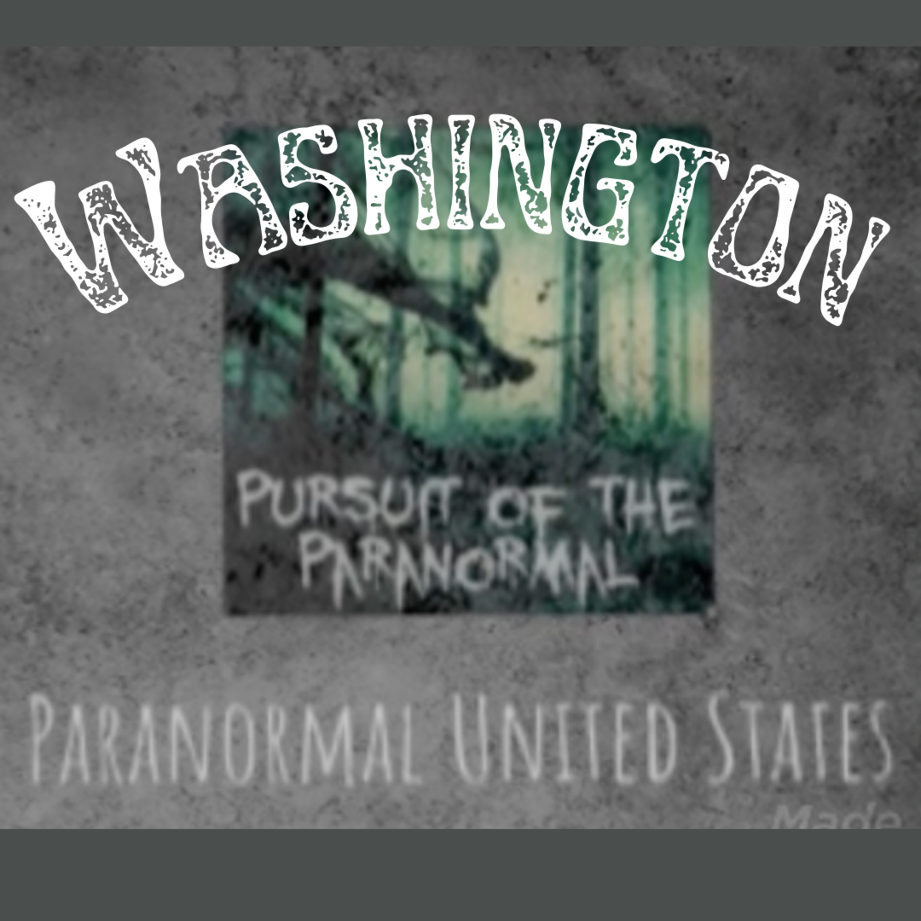 Paranormal United States Ep 47 : Washington and a haunted campsite episode artwork