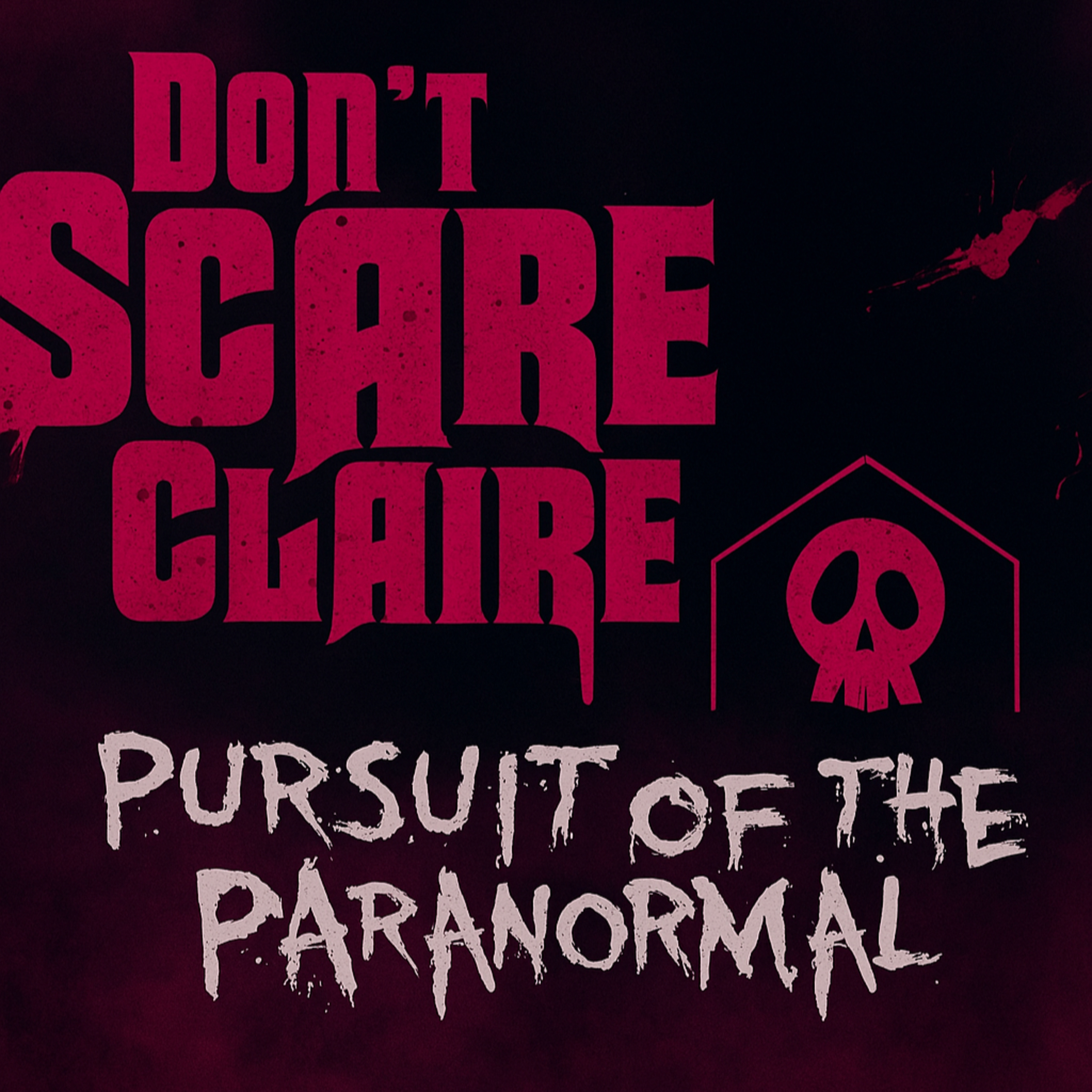 Paranormal Storytelling & Haunted Cases – Don’t Scare Claire on Ghosts, Theories & YouTube Investigations episode artwork
