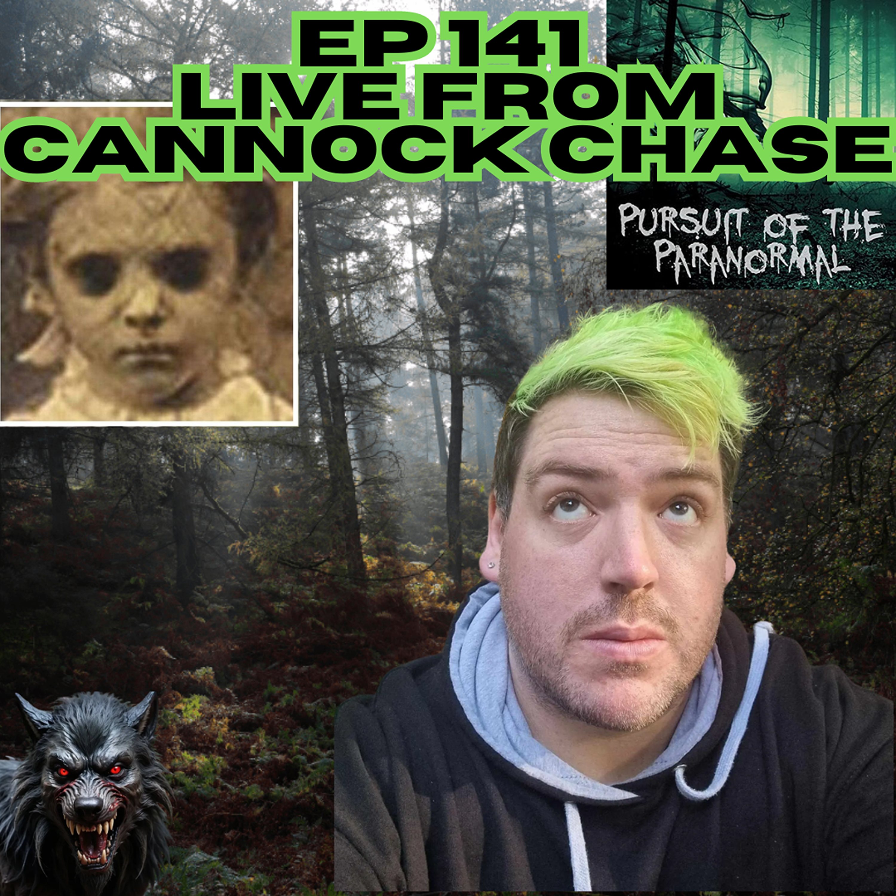 Ep 141 - LIVE From Cannock Chase - UFOs, Ghosts, Bigfoot, Aliens, Black Eyed Children, Dogman and more! episode artwork