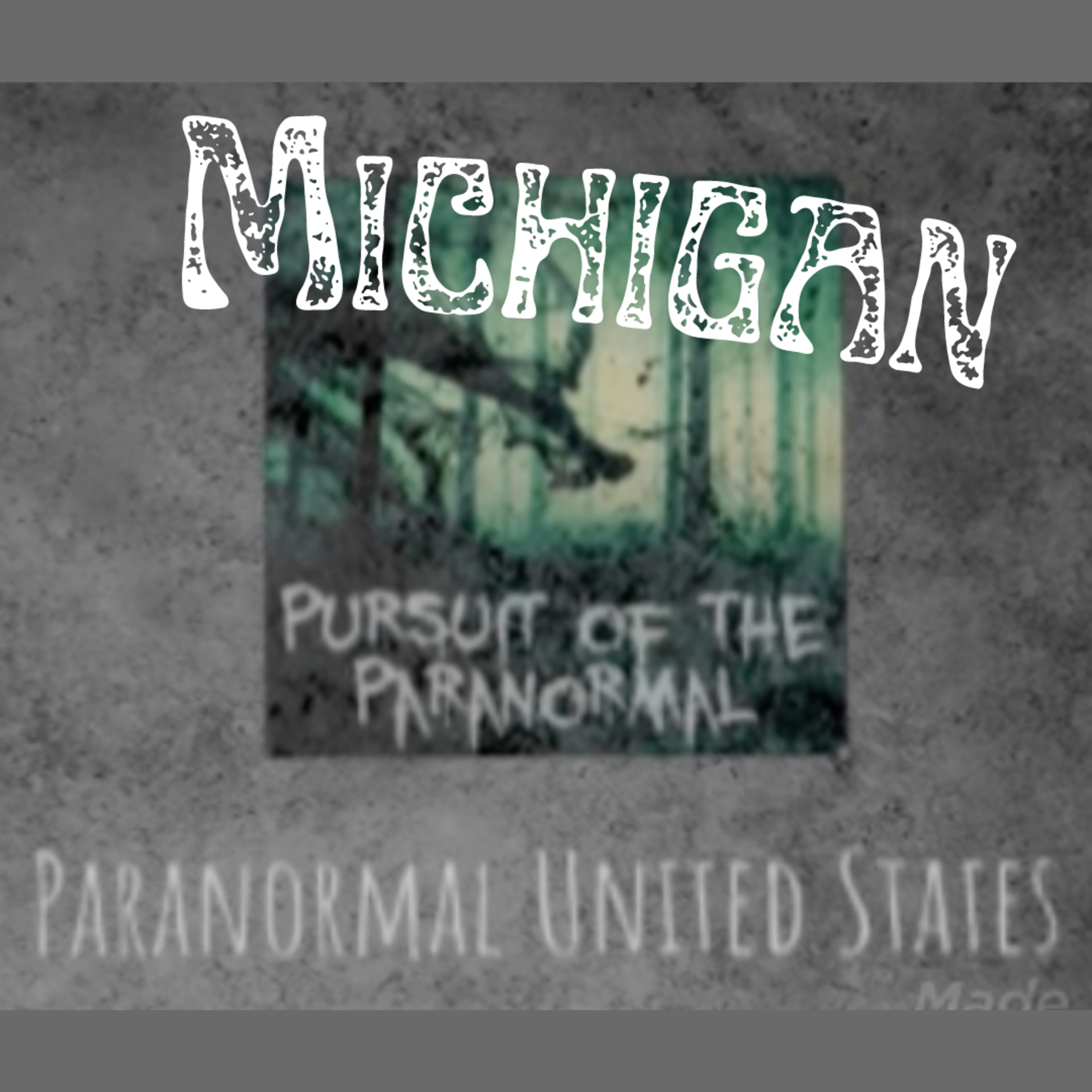 Paranormal United States Ep 22: Michigan - The Mysterious Paulding Light episode artwork