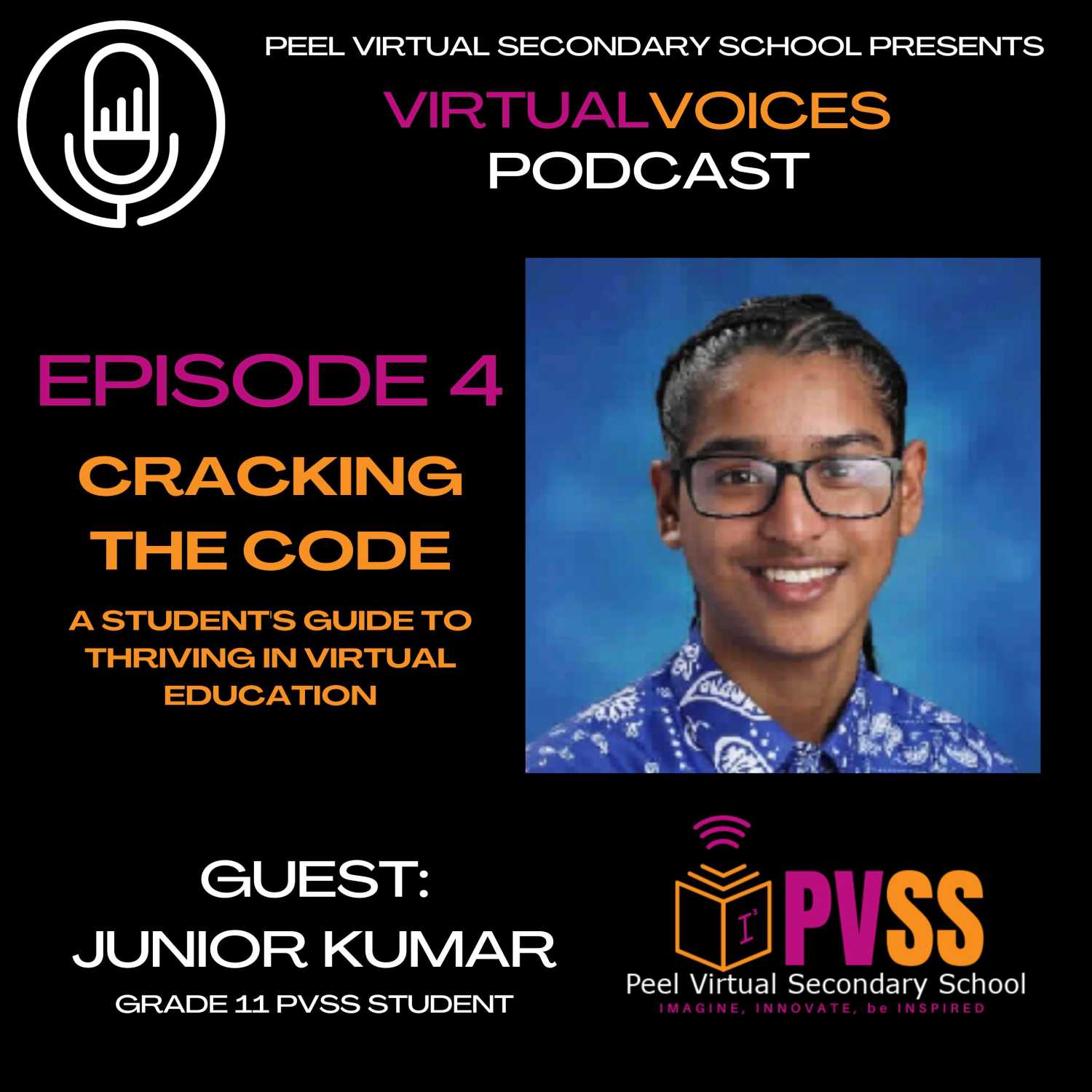 Virtual Voices: Episode 4 - Cracking the Code with Junior Kumar episode artwork