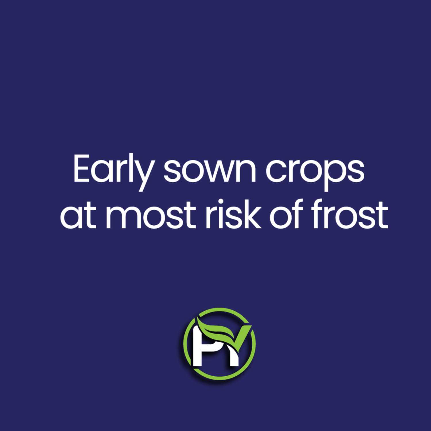 Peter Yelland says that early sown crops at most risk of frost