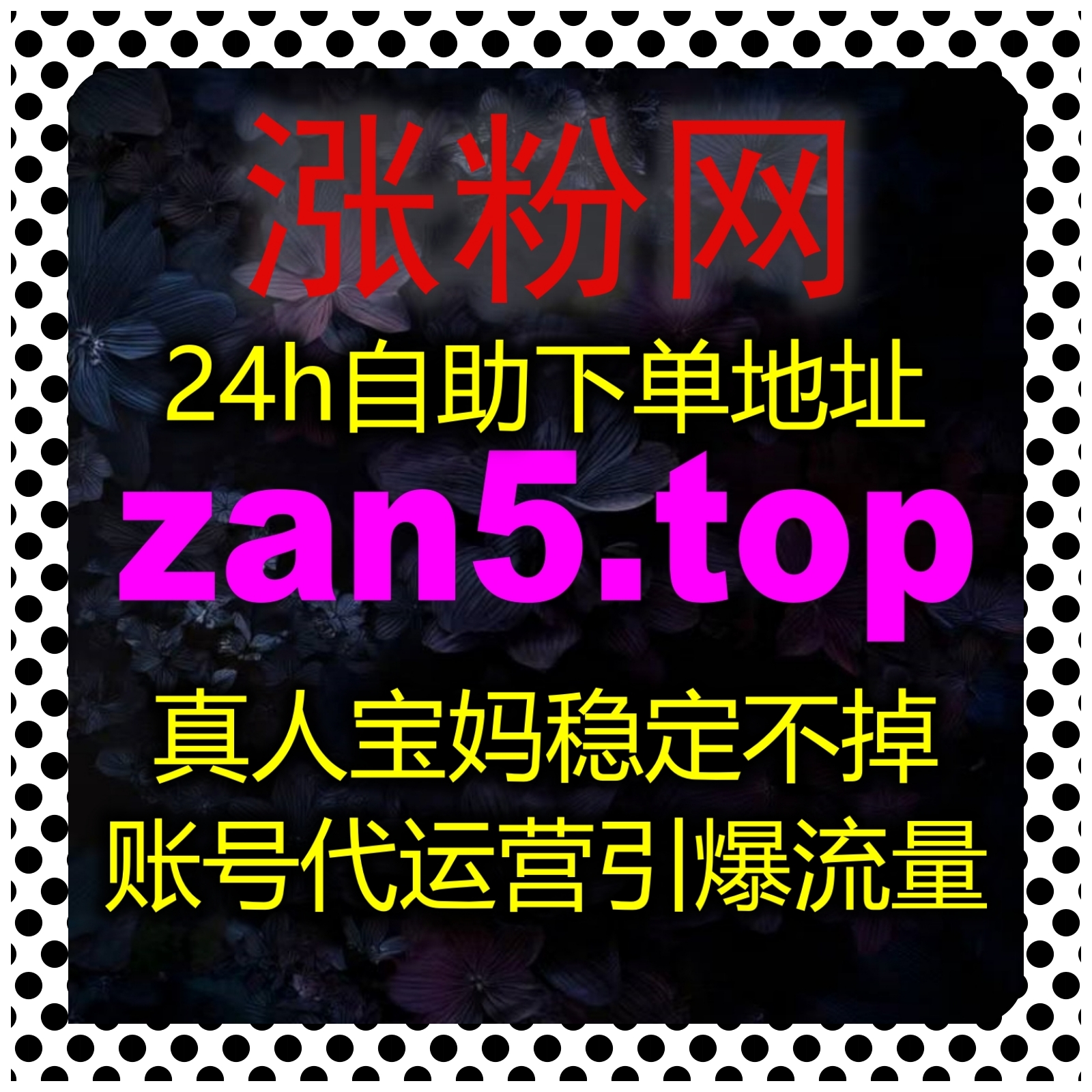 深耕私域内容精细运营，流量提升助推视频号播放数据稳健增值成长 episode artwork