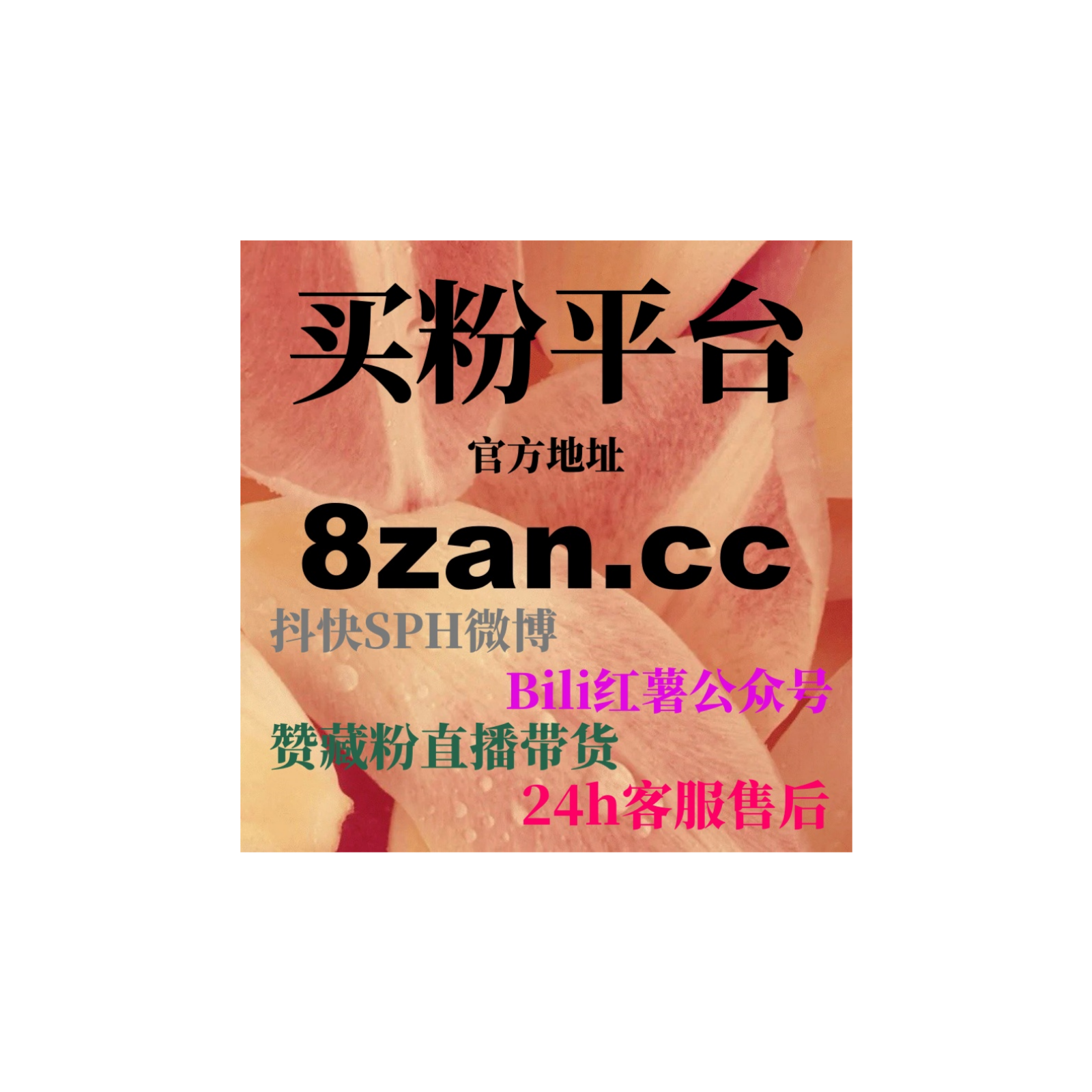 使用自助刷粉网平台，快速涨粉让小企业主打开市场！