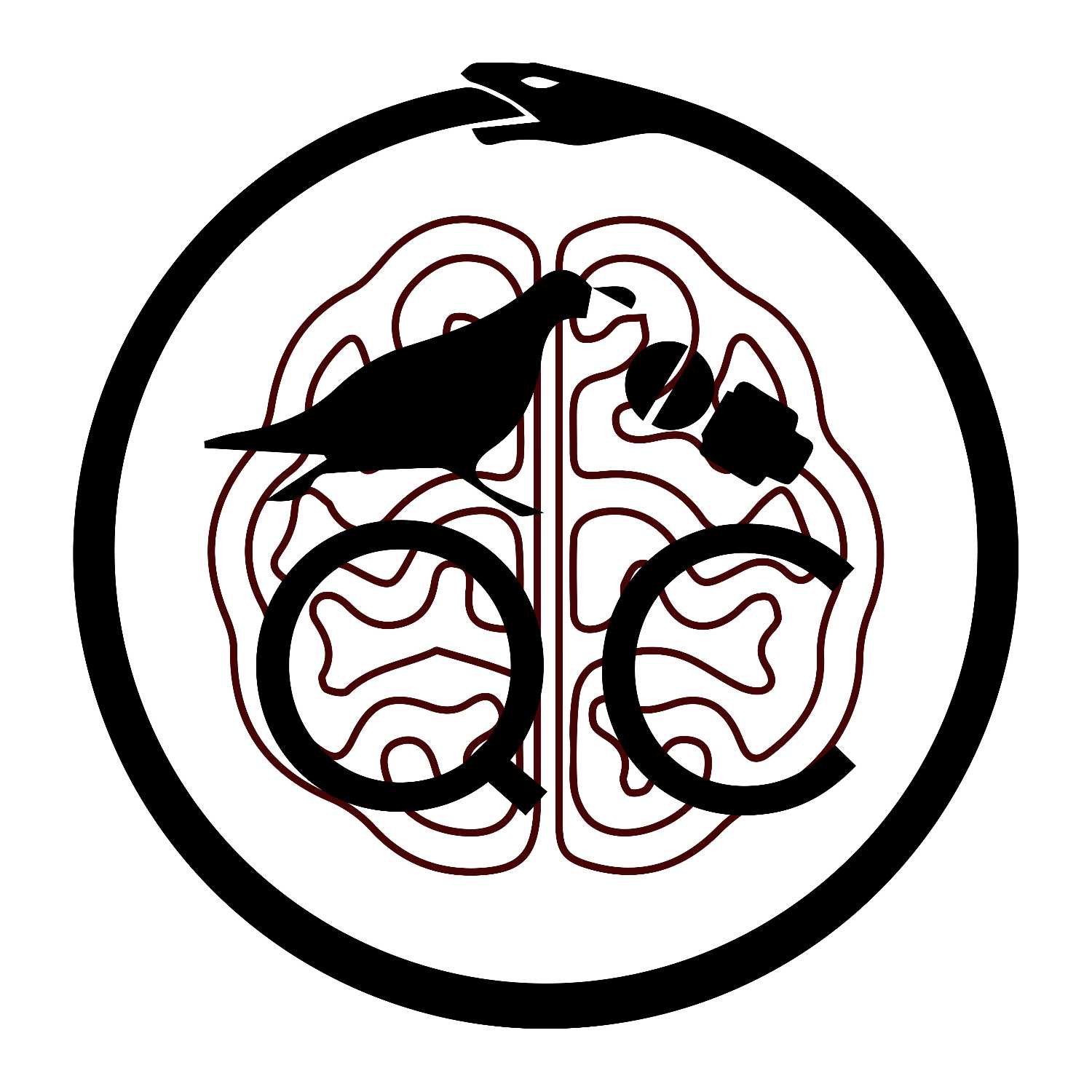 The Quail Chronicles