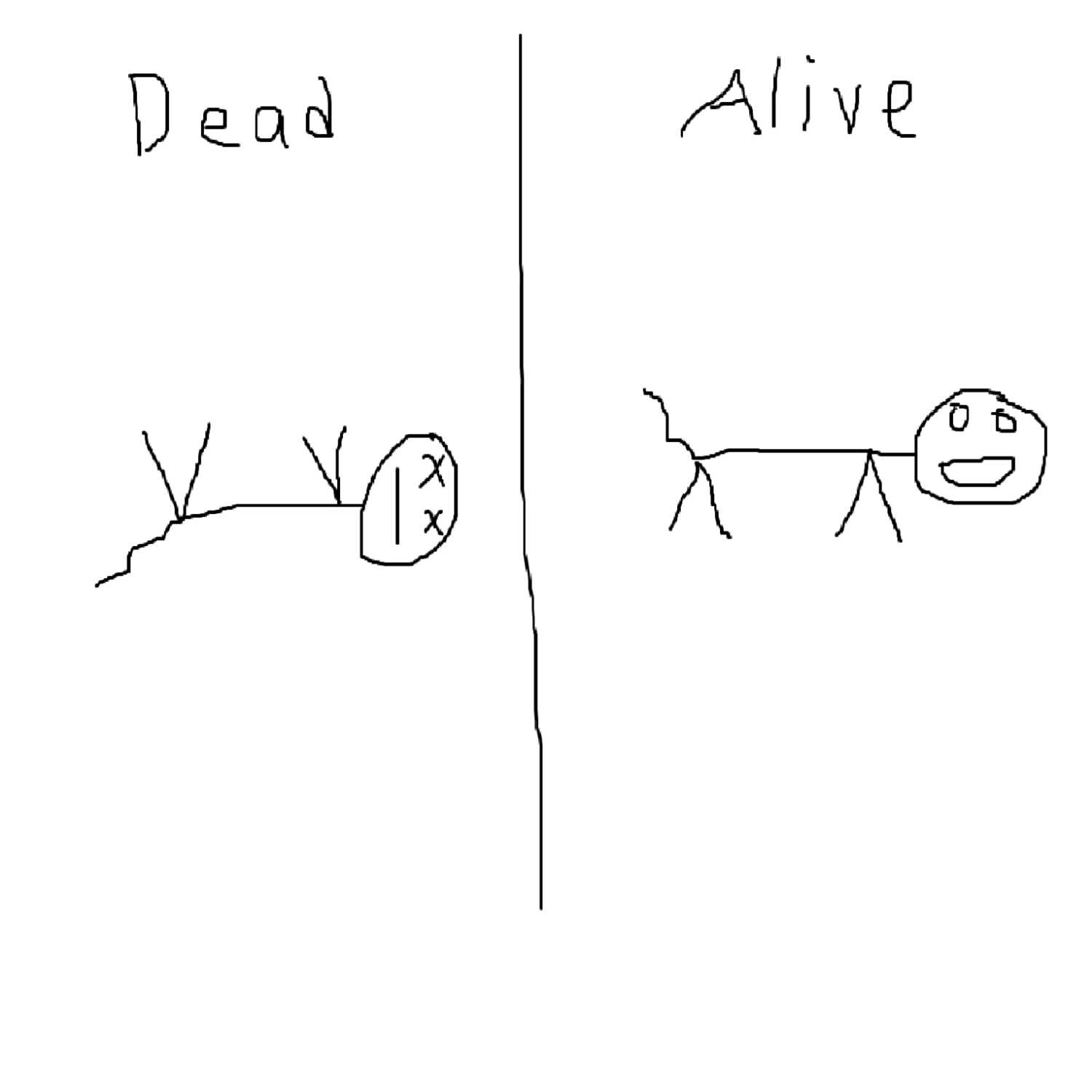 My thoughts on Quantum Physics 