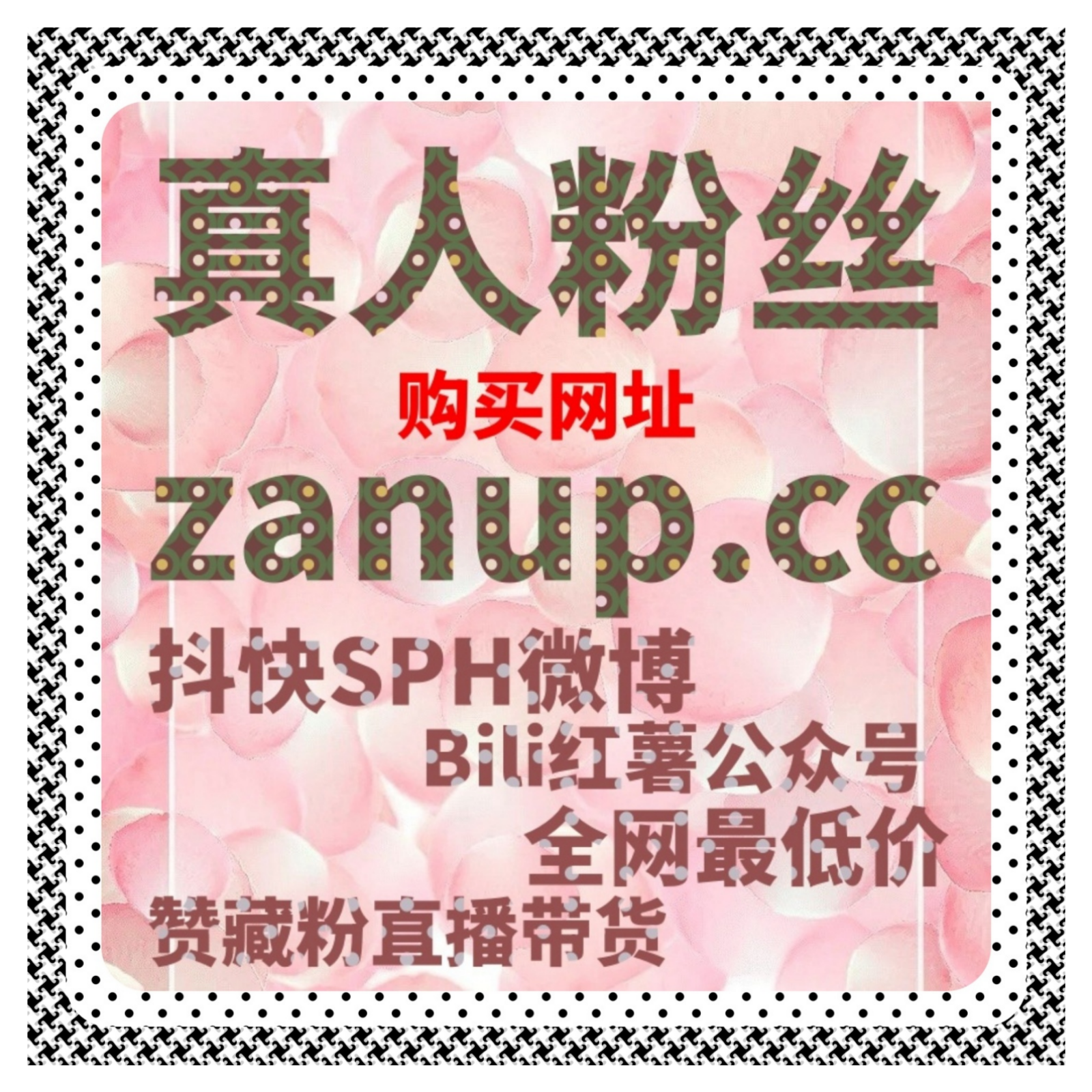 B站快涨视频分享与哔哩结合自动化平台，实现流量提升与账号活跃优化 episode artwork