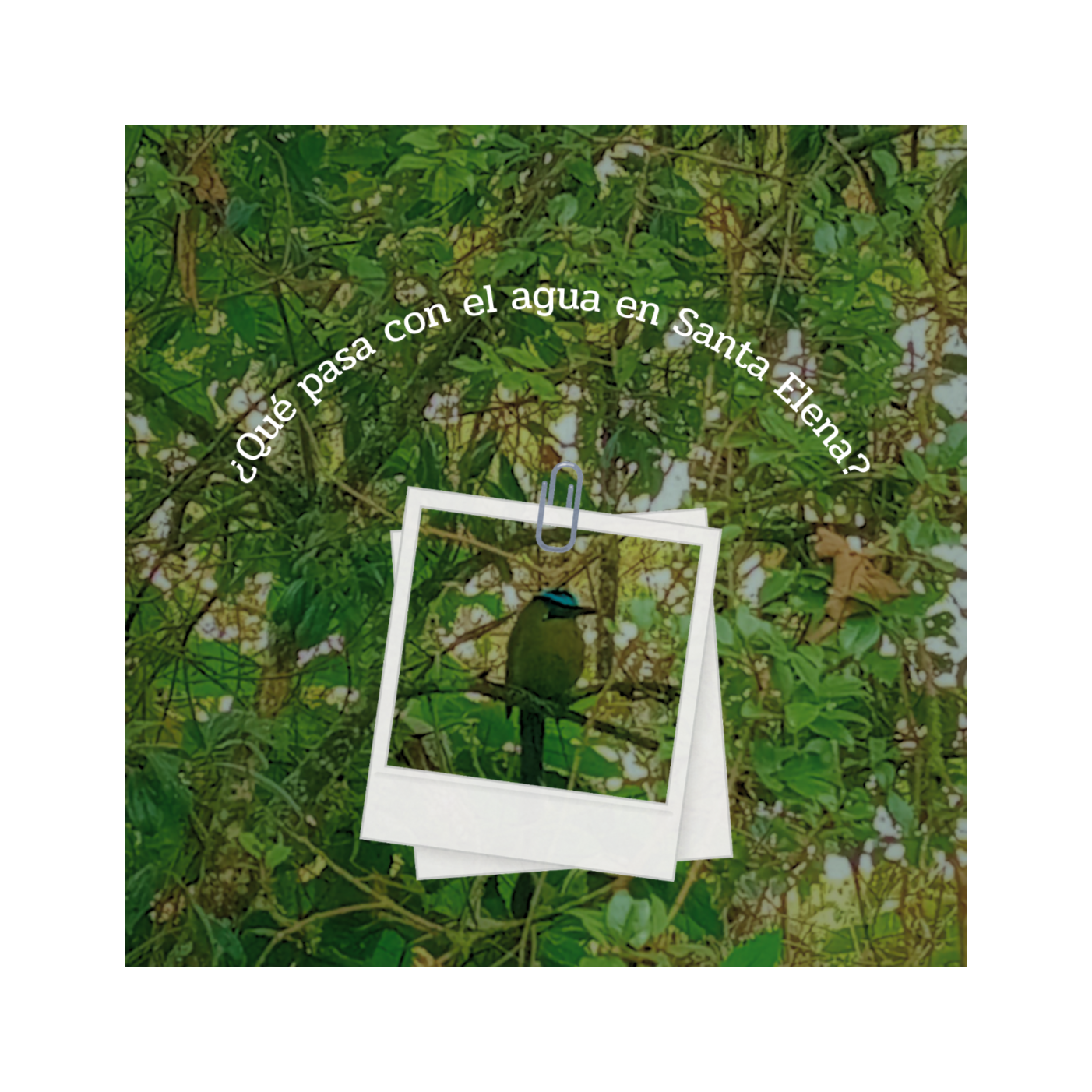 ¿Qué pasa con el agua en Santa Elena?