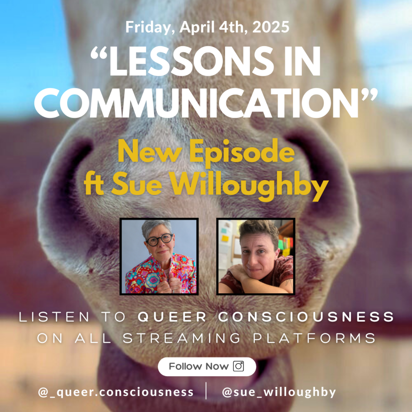Queer Consciousness: LGBTQ+ Mindset Empowerment Podcast