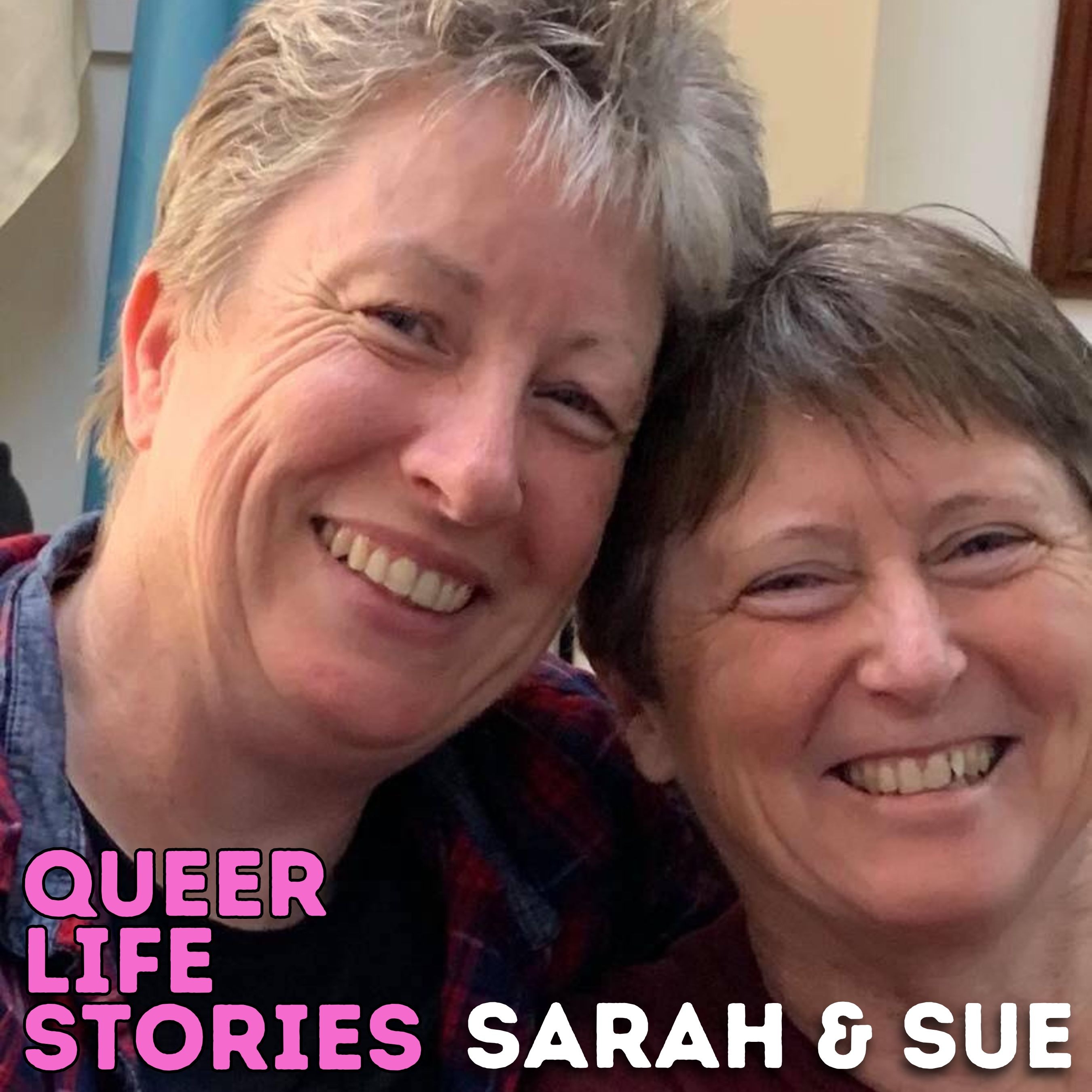 Queer Life Stories