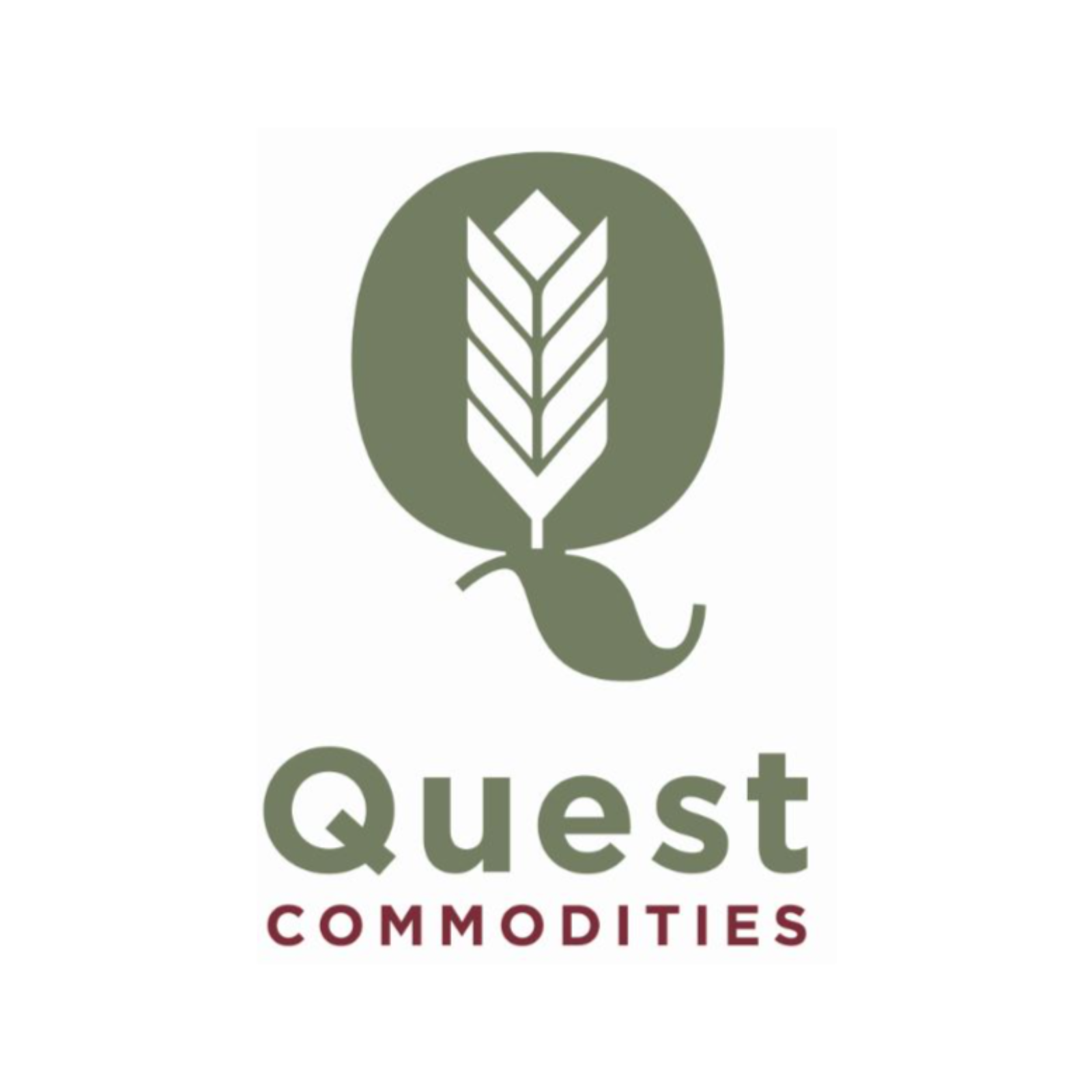 Quest Commodities - Market Splash
