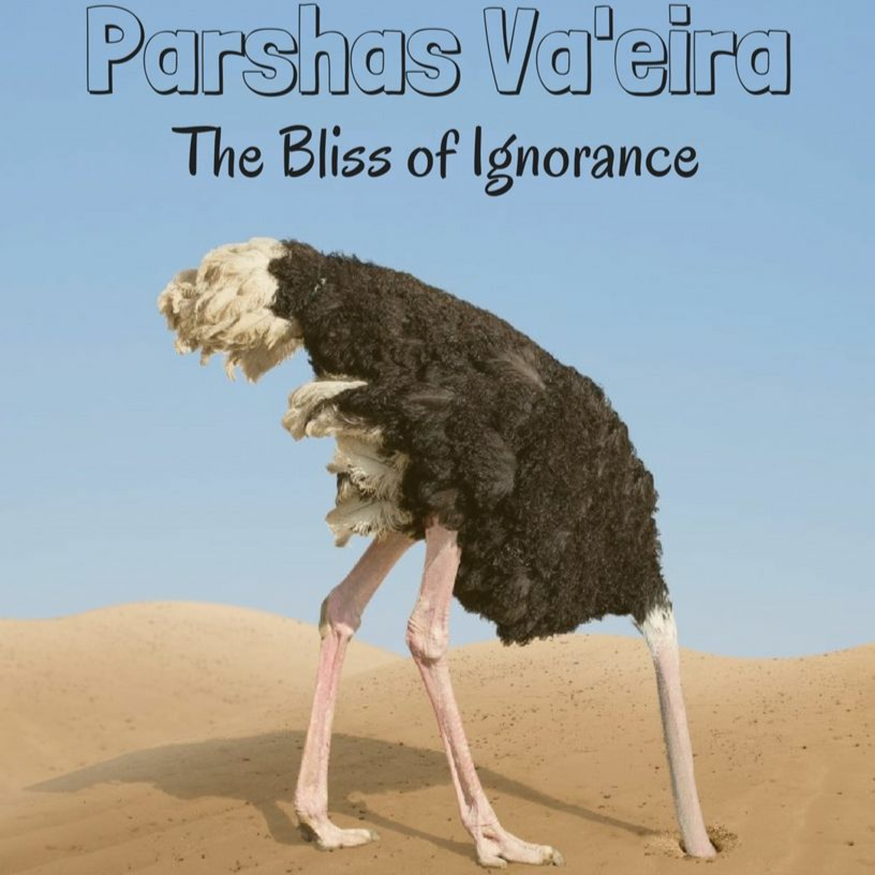 Parshas Va'eira - The Bliss Of Ignorance episode artwork