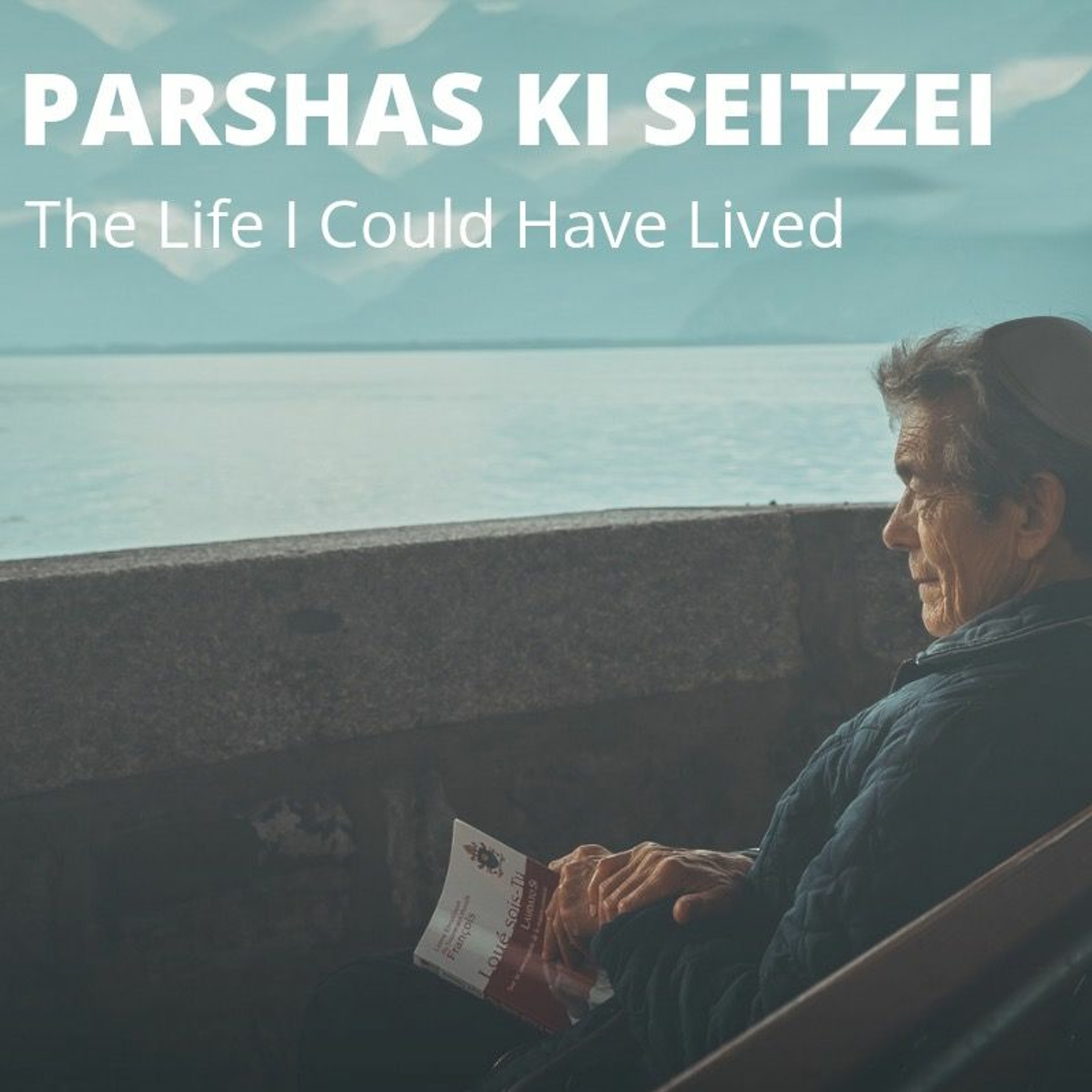 Parshat Ki Teitzei - 9/11: The Life I Could Have Lived - Rabbi Noach Light episode artwork