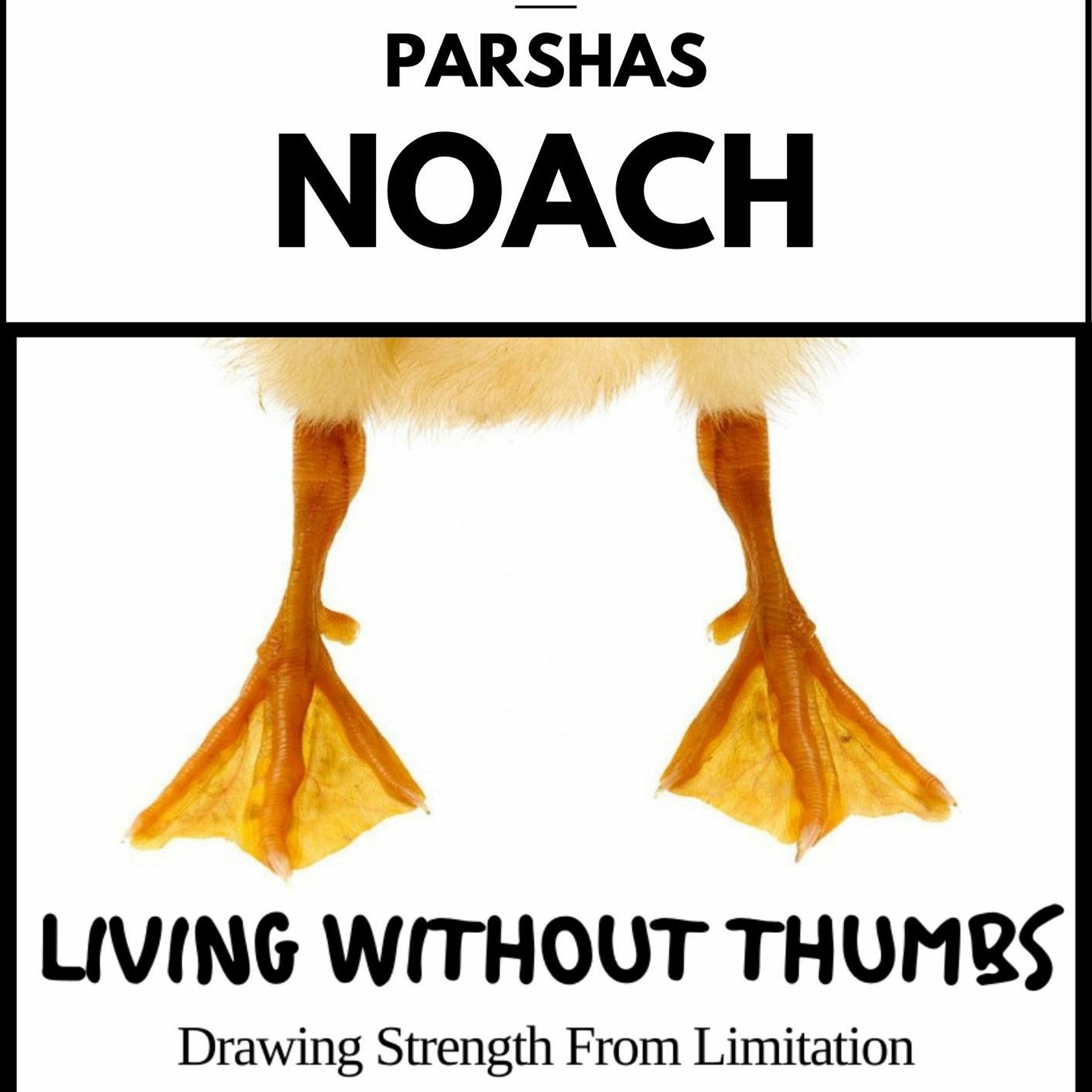Parshas Noach: Living Without Thumbs - Drawing Strength from Limitation episode artwork