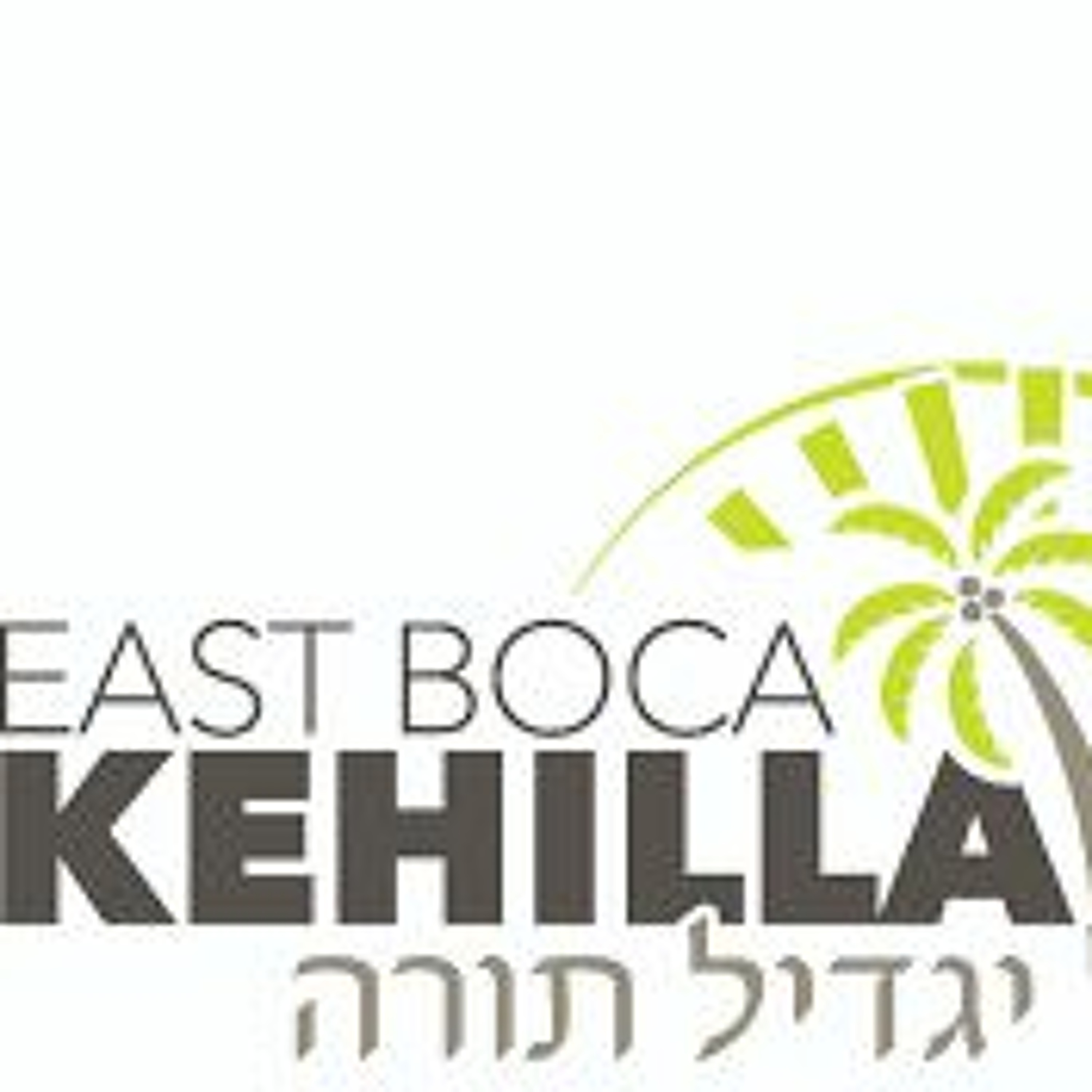 Rabbi Light Shiurim