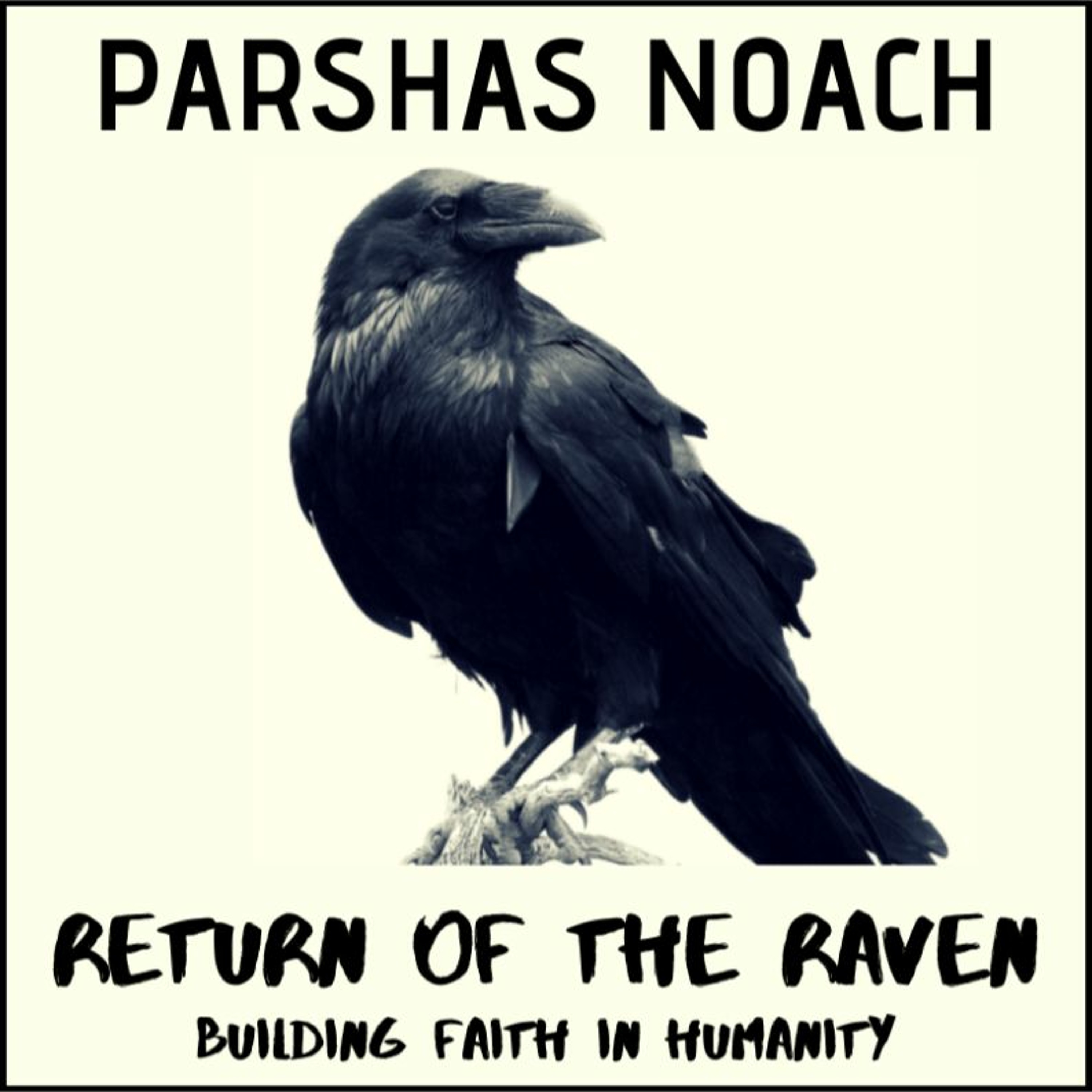 Parshat Noach: The Return of the Raven - Building Faith in Humanity - Rabbi Noach Light episode artwork