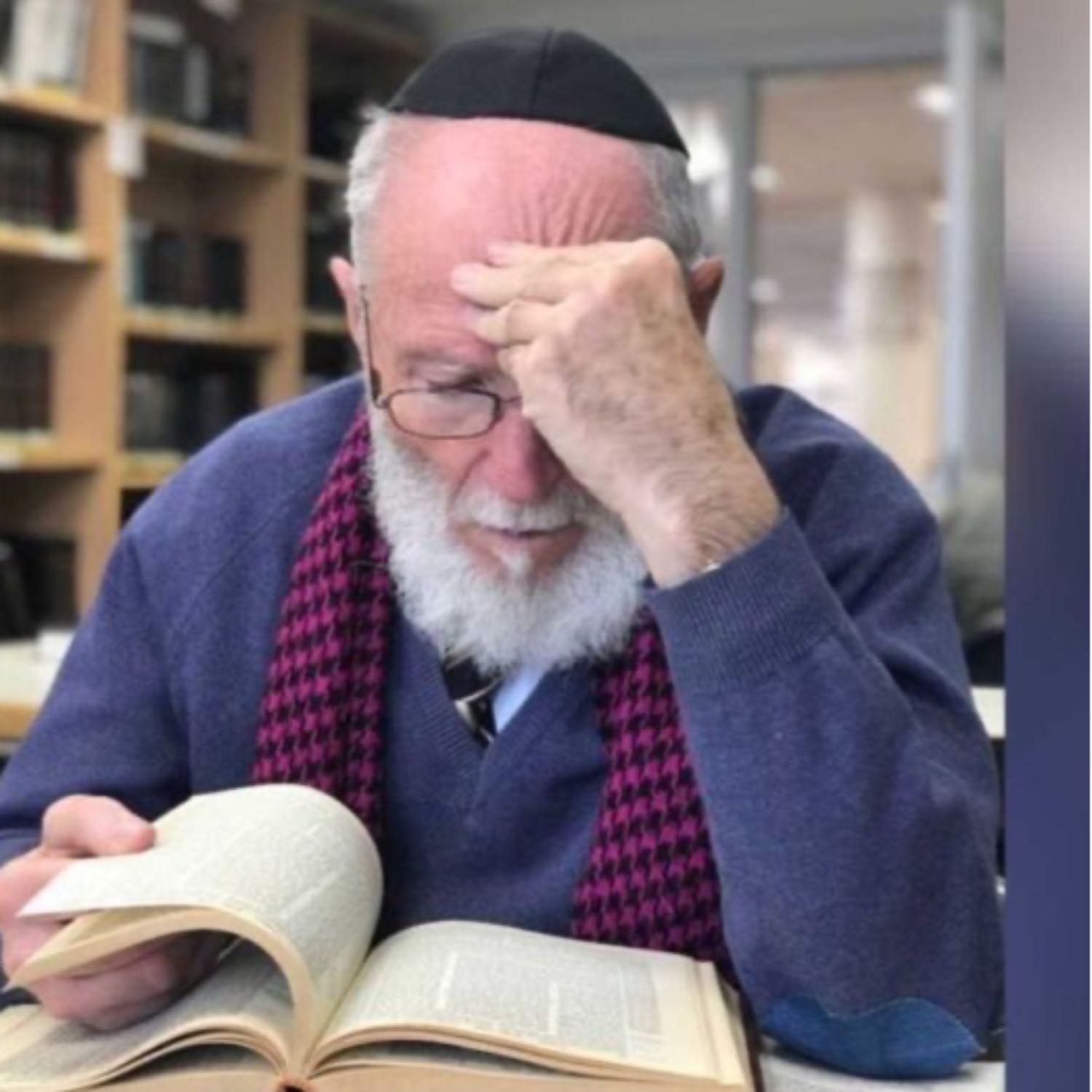 Rabbi Mirsky Derasha - Parashat Bo 2024 “Conquering the יצר הרע with our senses & Tu Bishvat” episode artwork