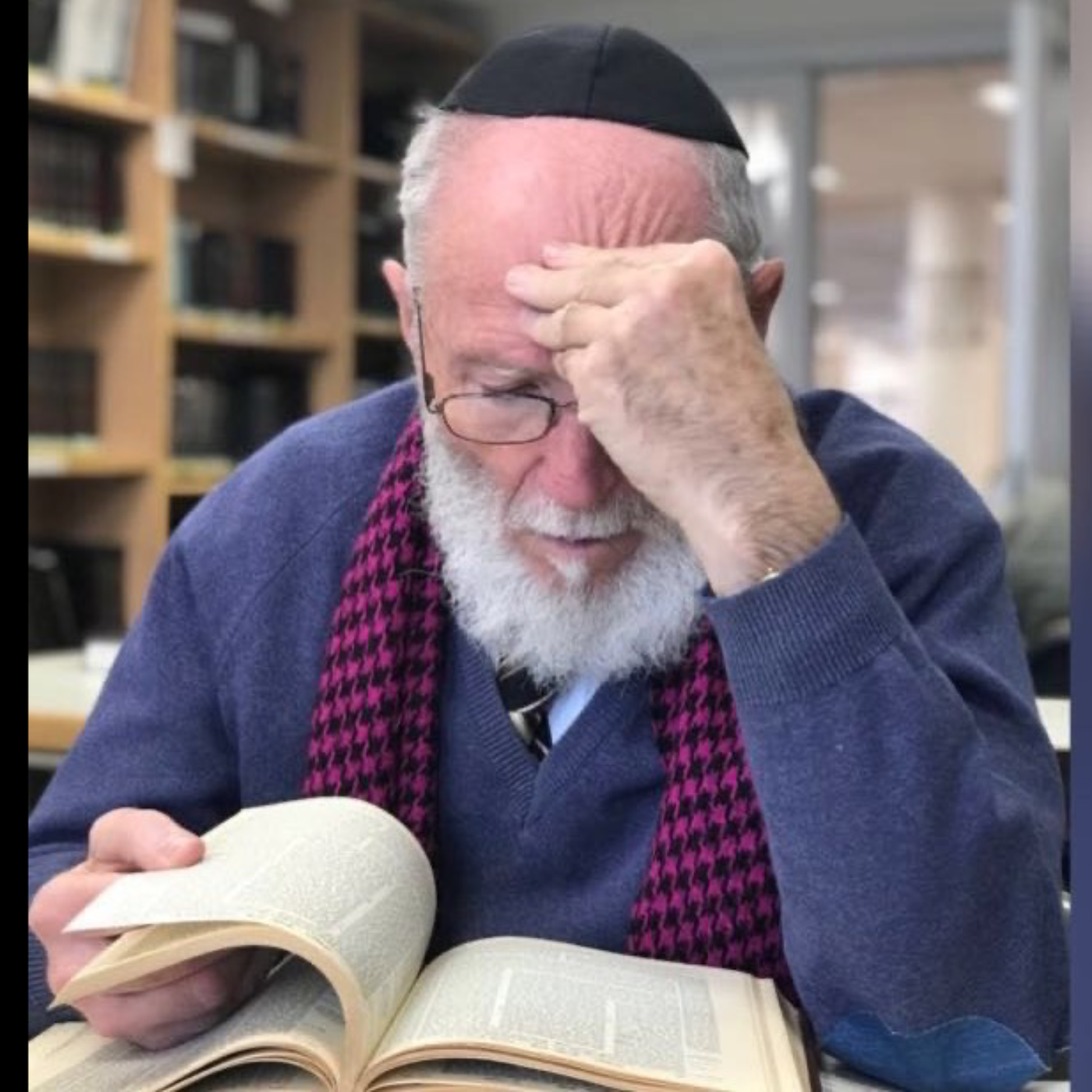 Rabbi Mirsky Derasha - Parashat Terumah 2024: “Menorah & Hishtadlut” episode artwork