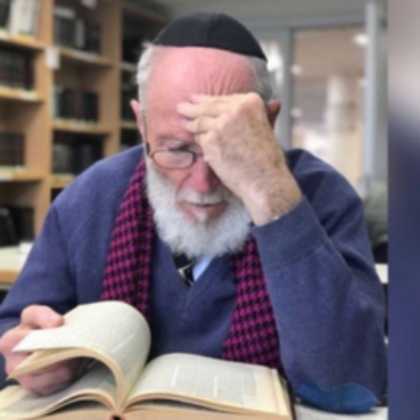 Parashat Haye Sarah 2024 - “Transaction Btwn Abraham & Efron” episode artwork