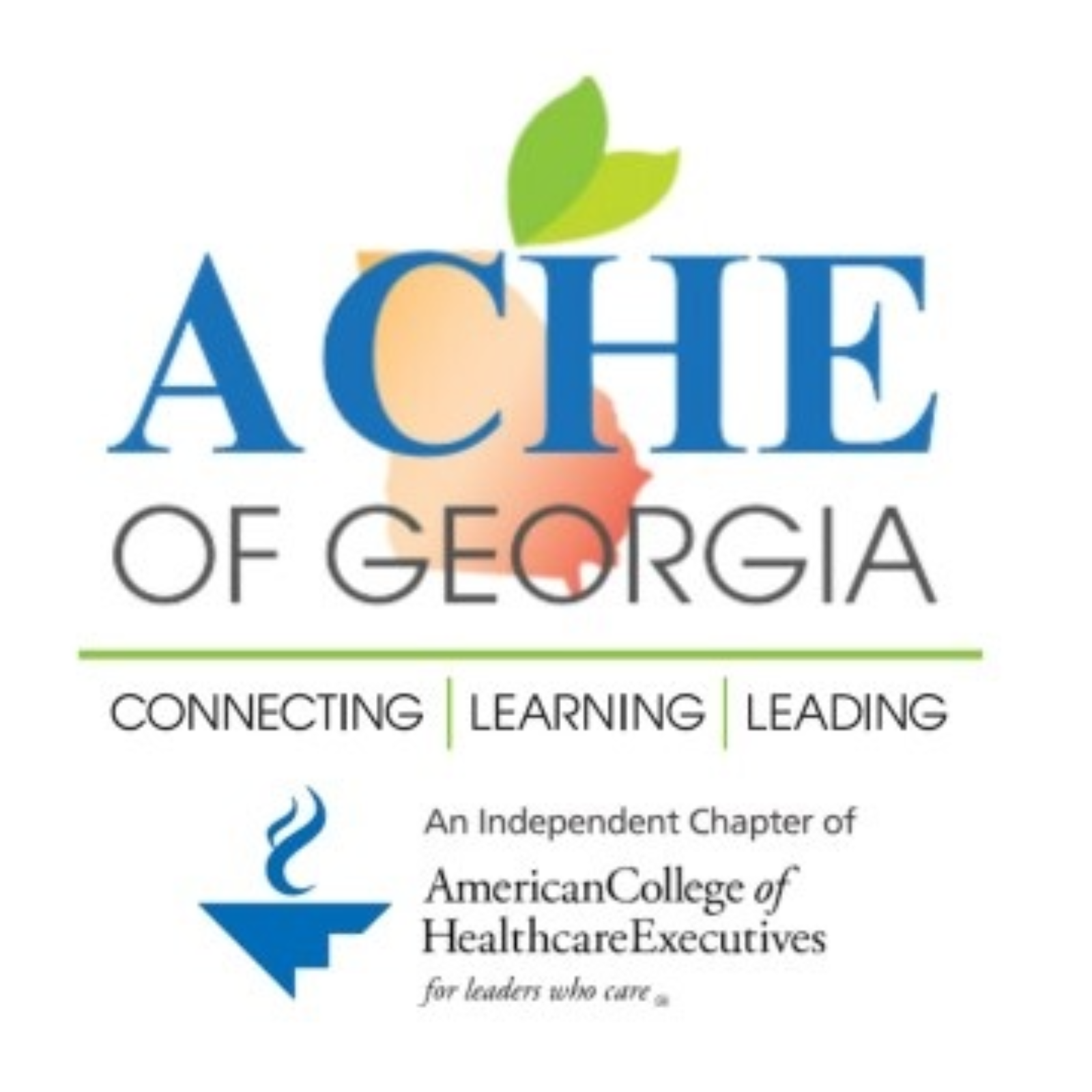 Healthcare Leadership Podcast