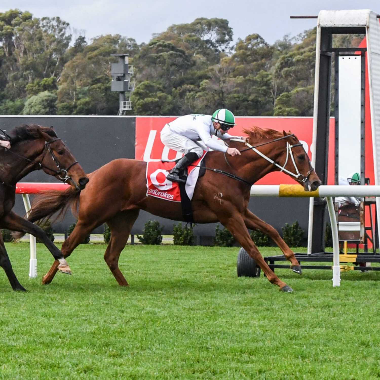 Racing Previews
