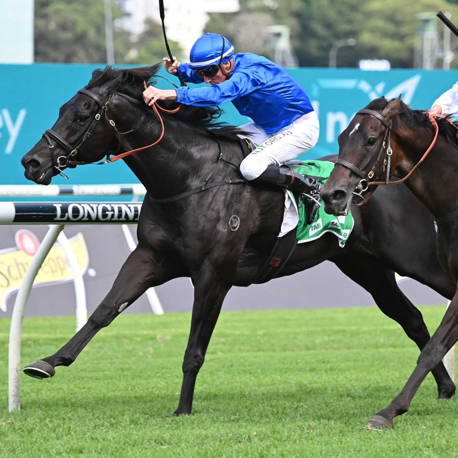 Racing Previews