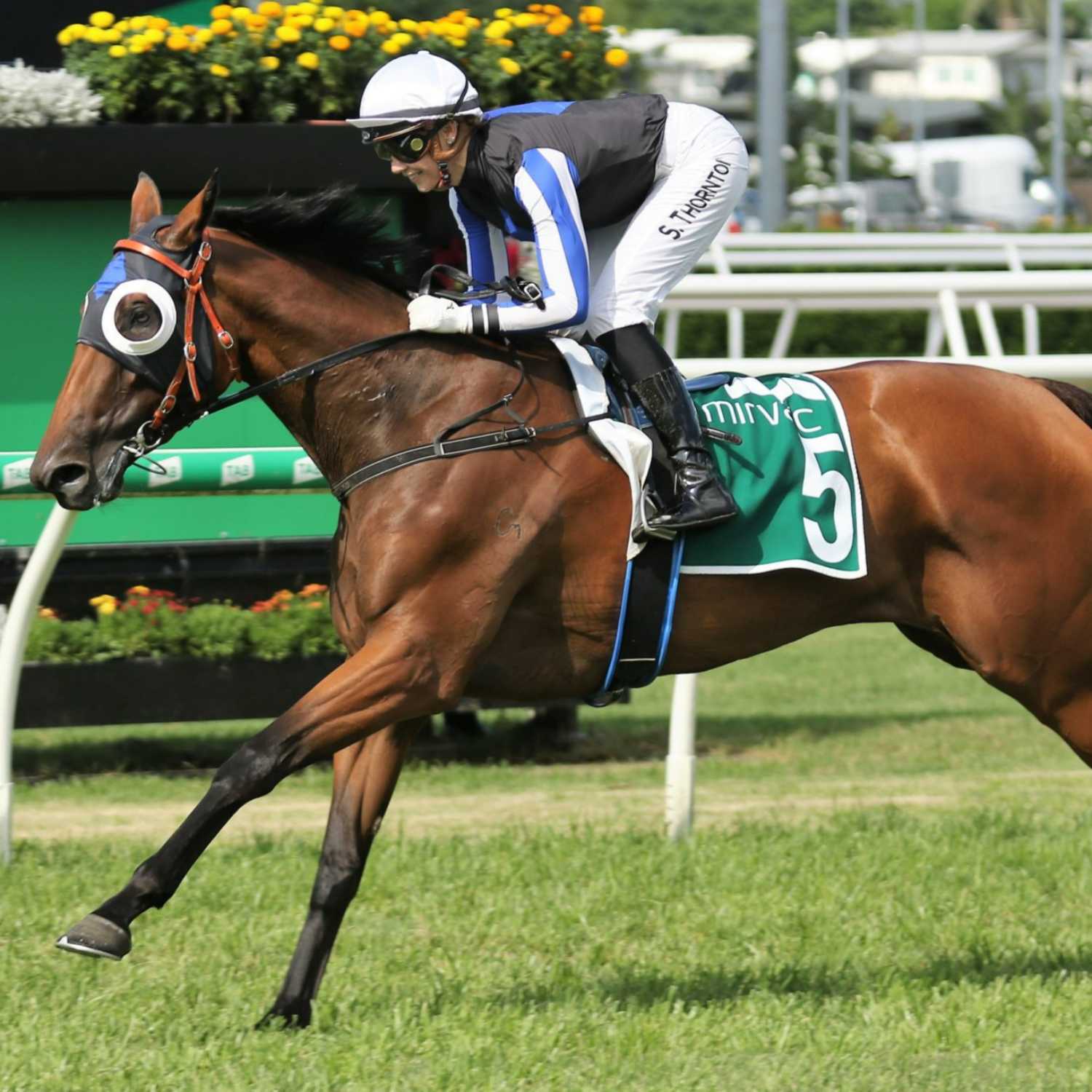 Racing Previews