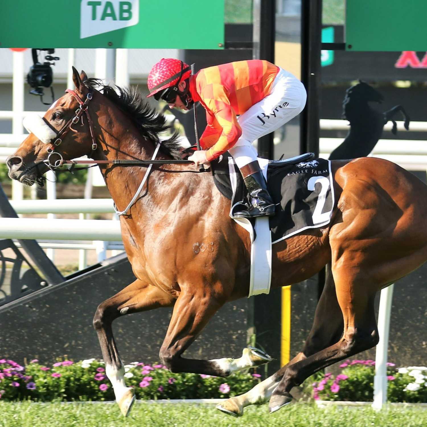 Racing Previews