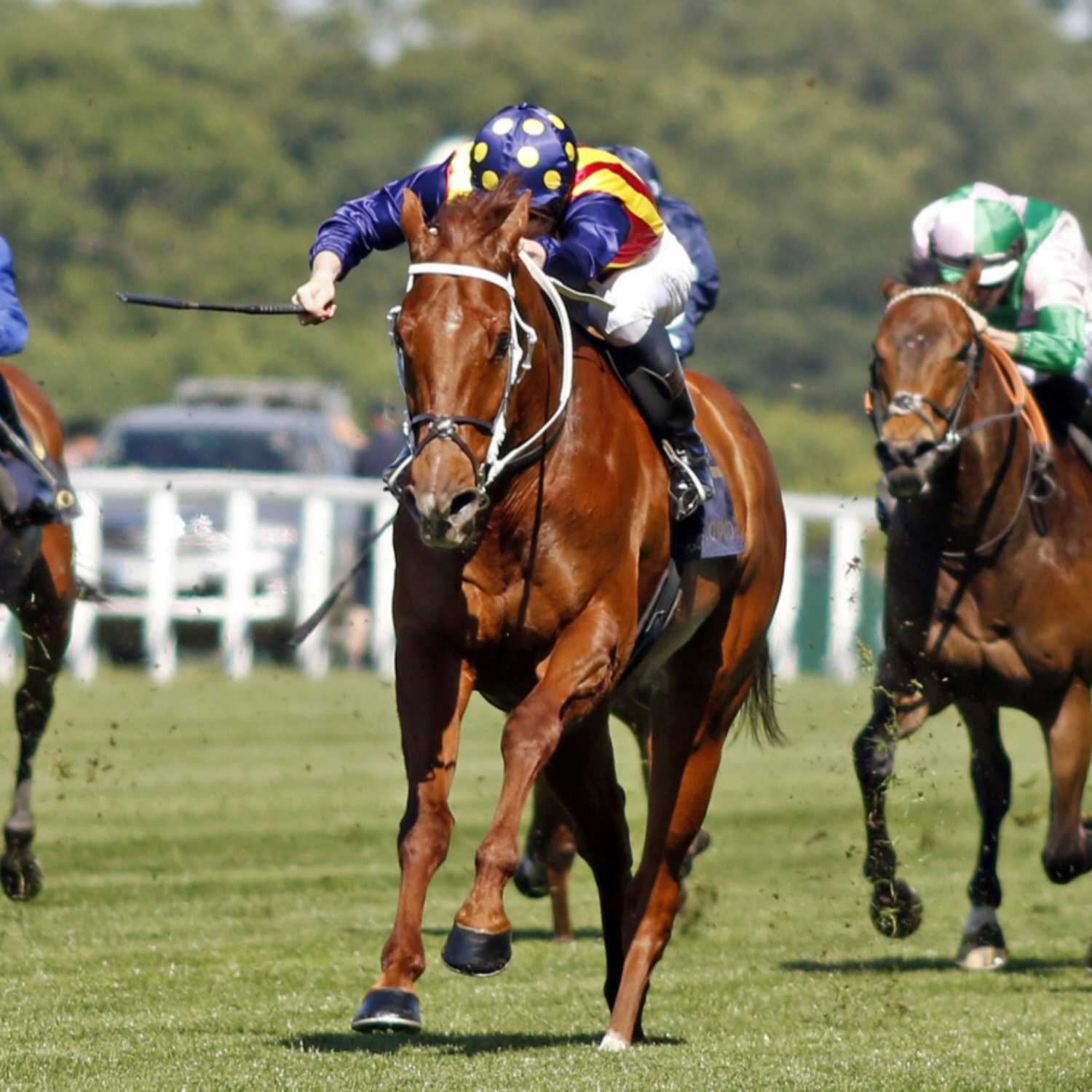 Racing Previews