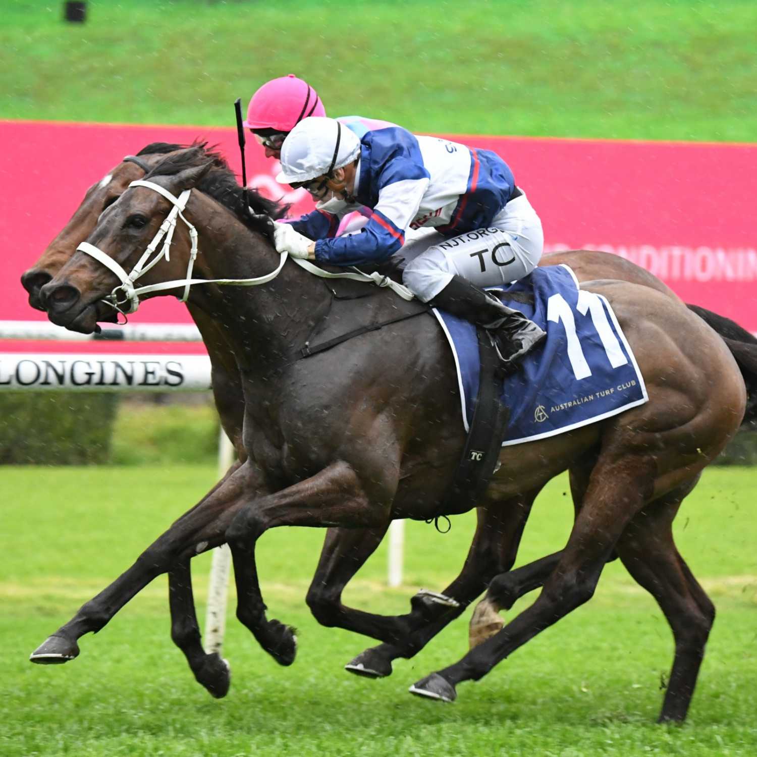 Racing Previews
