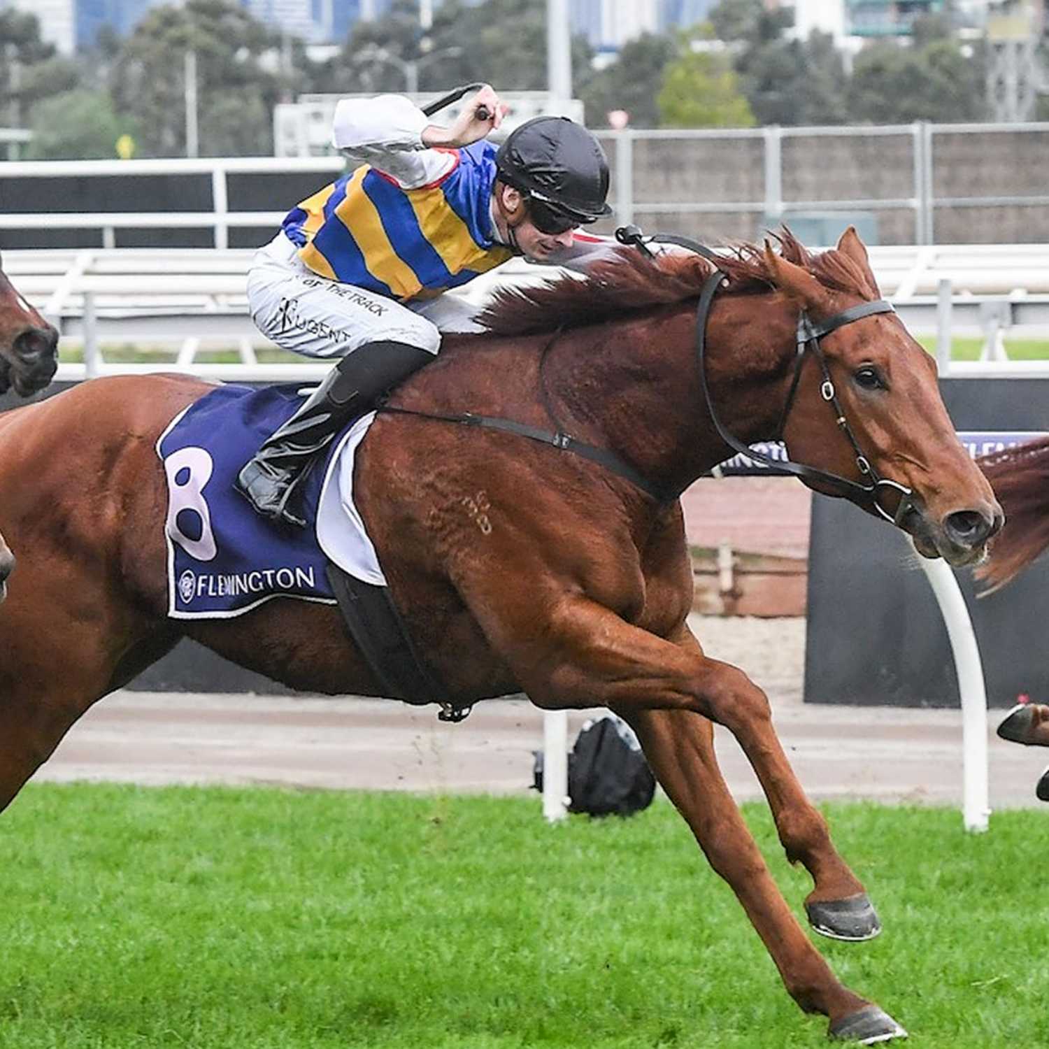 Racing Previews