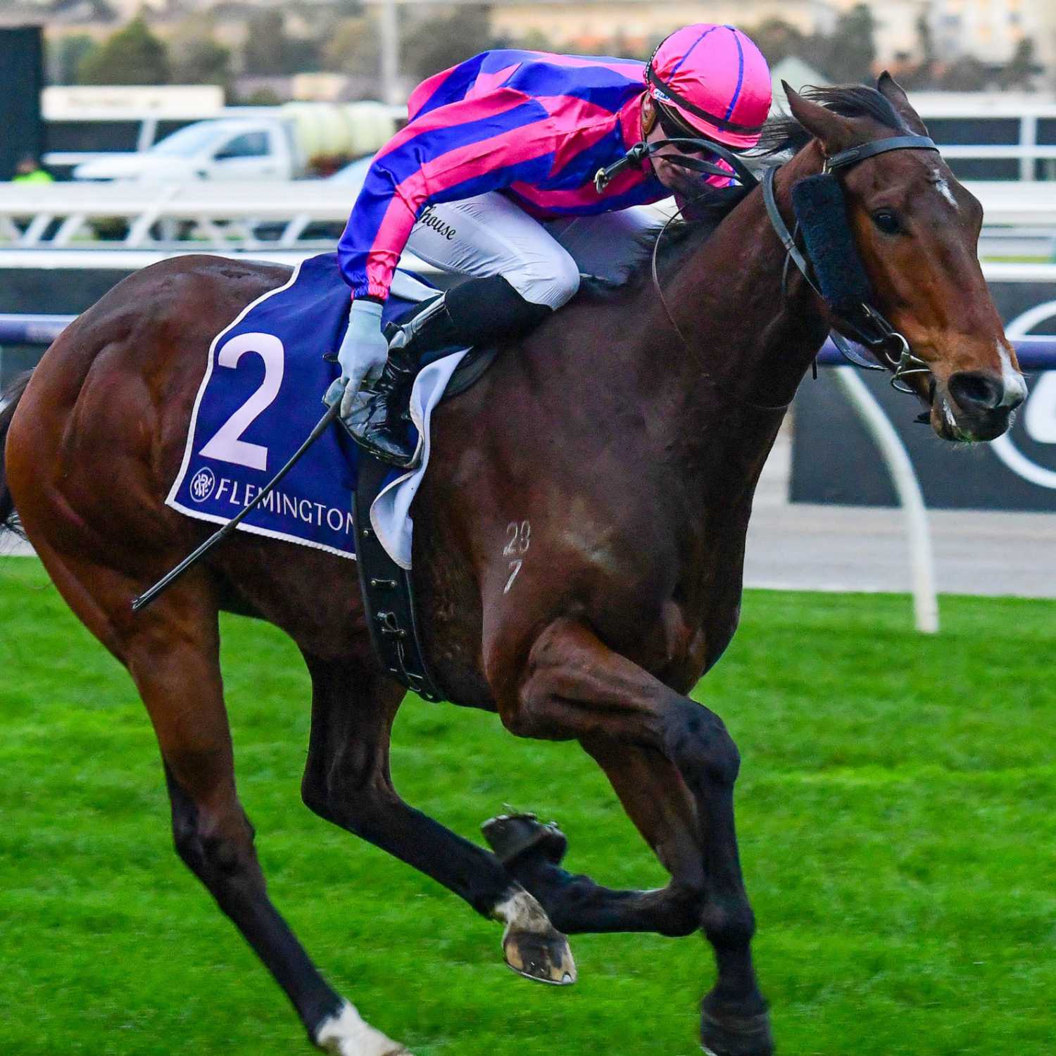 Racing Previews