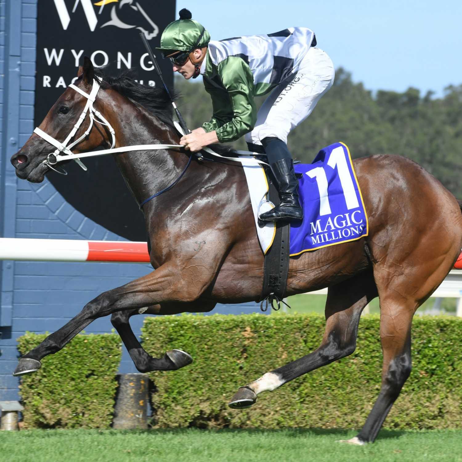 Racing Previews
