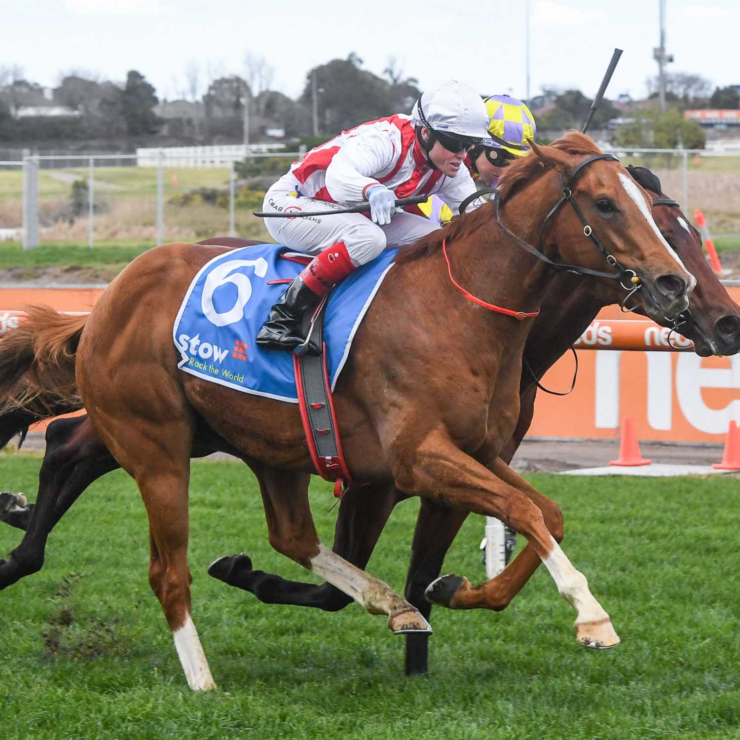 Racing Previews