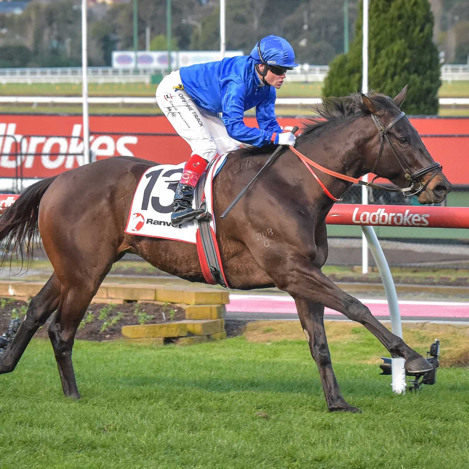 Racing Previews