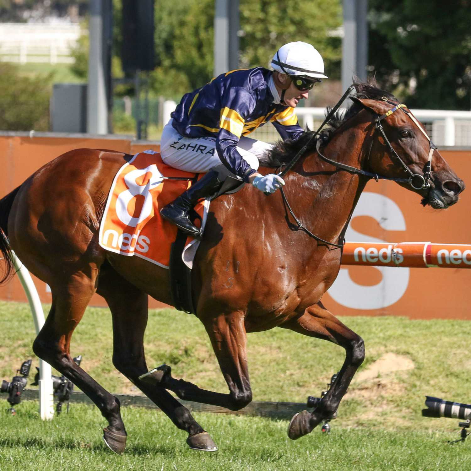 Racing Previews