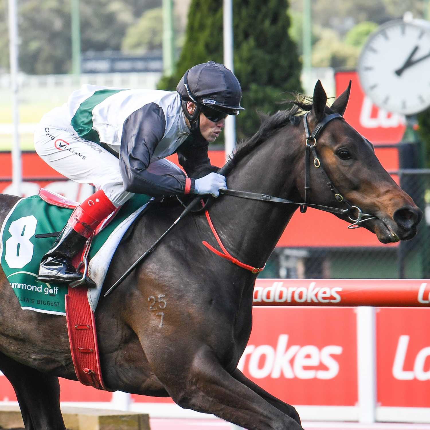 Racing Previews