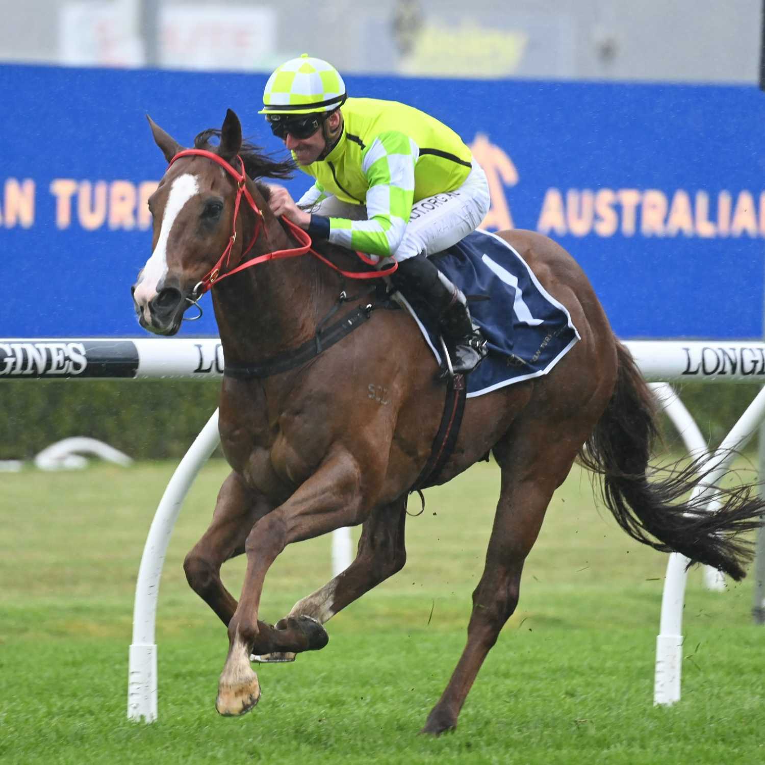 Racing Previews