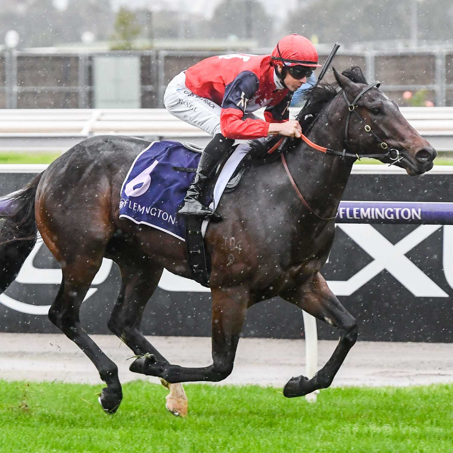 Racing Previews